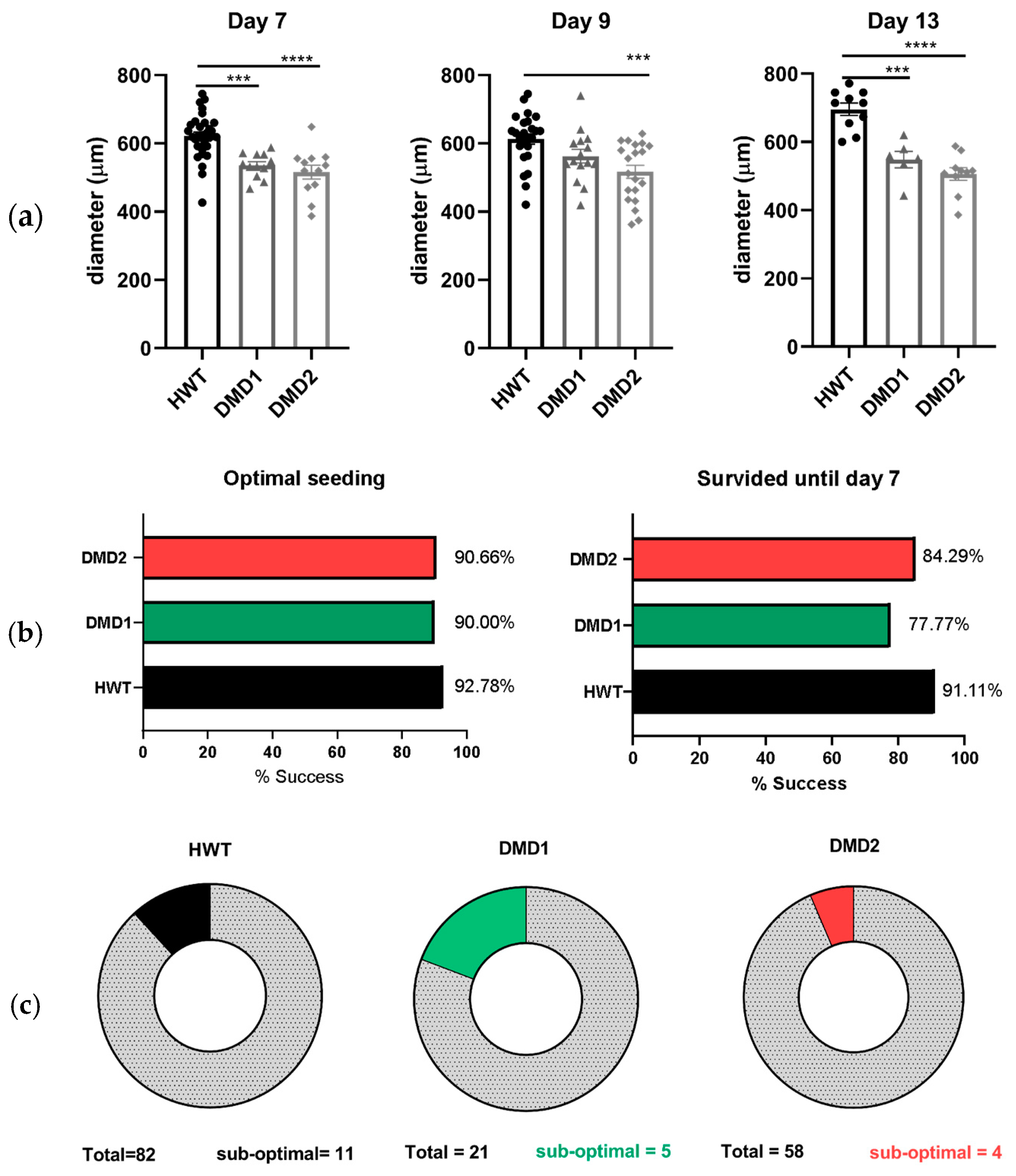 Biomedicines 13 01109 g002