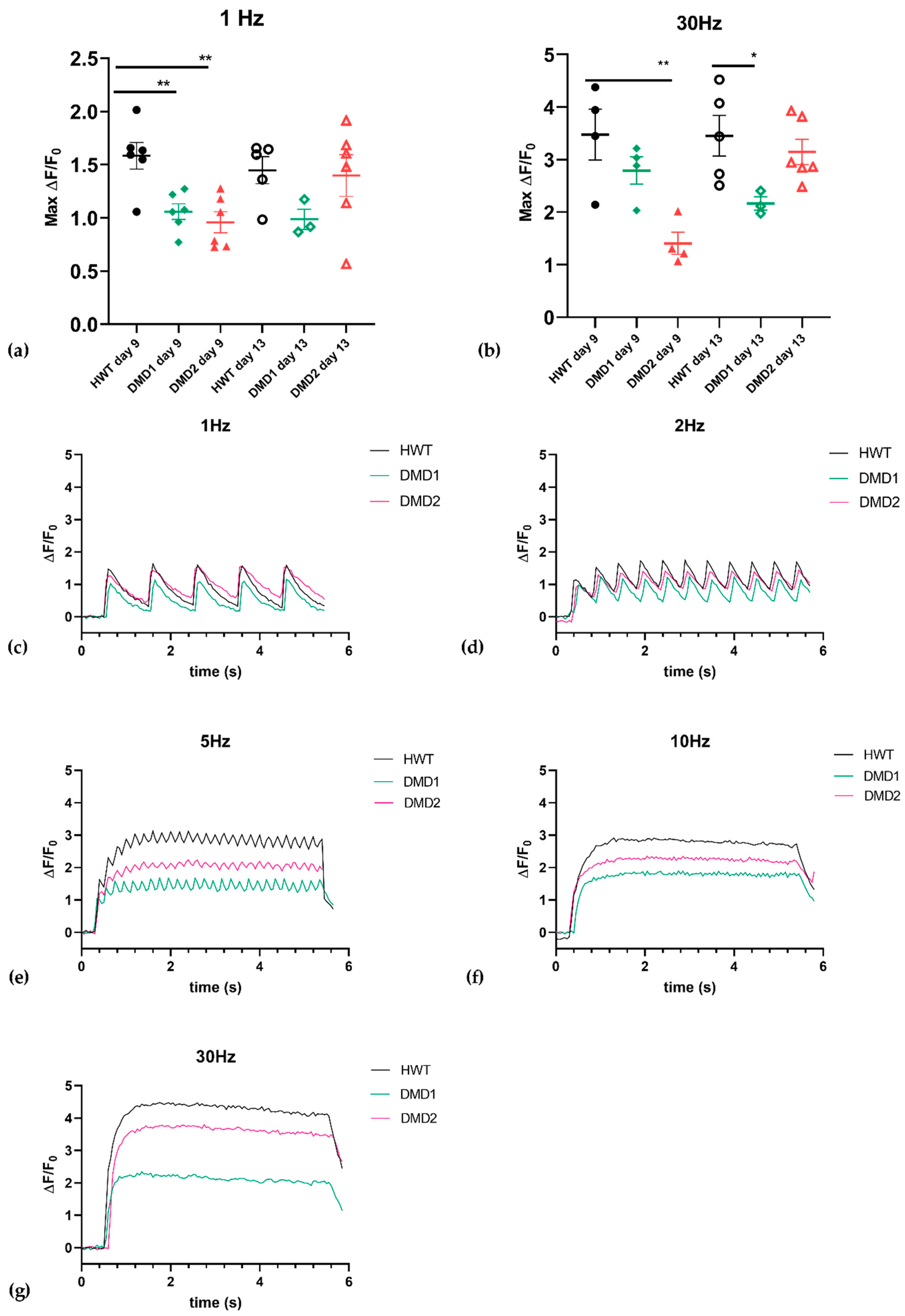 Biomedicines 13 01109 g005