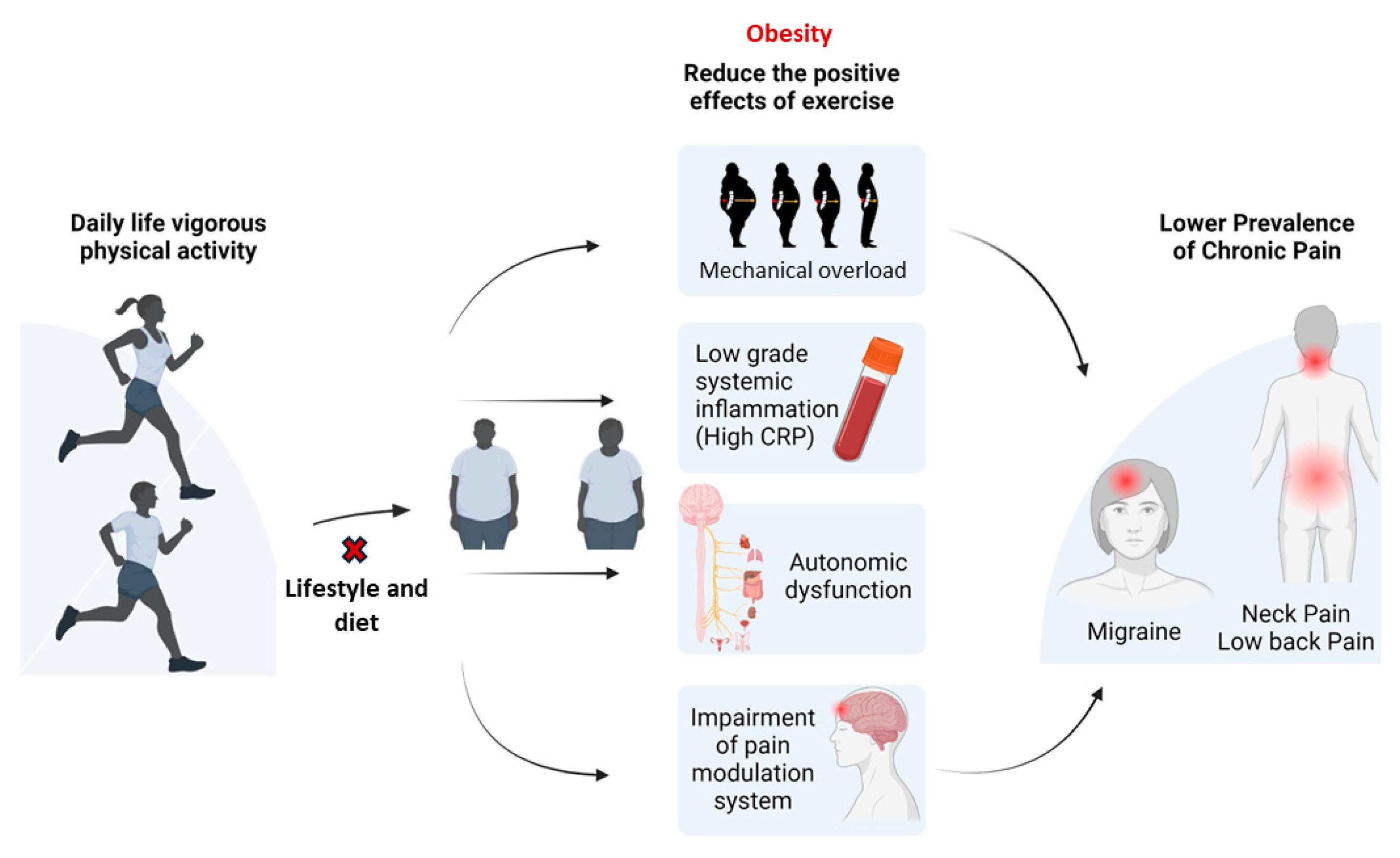 Biomedicines 13 01111 g002
