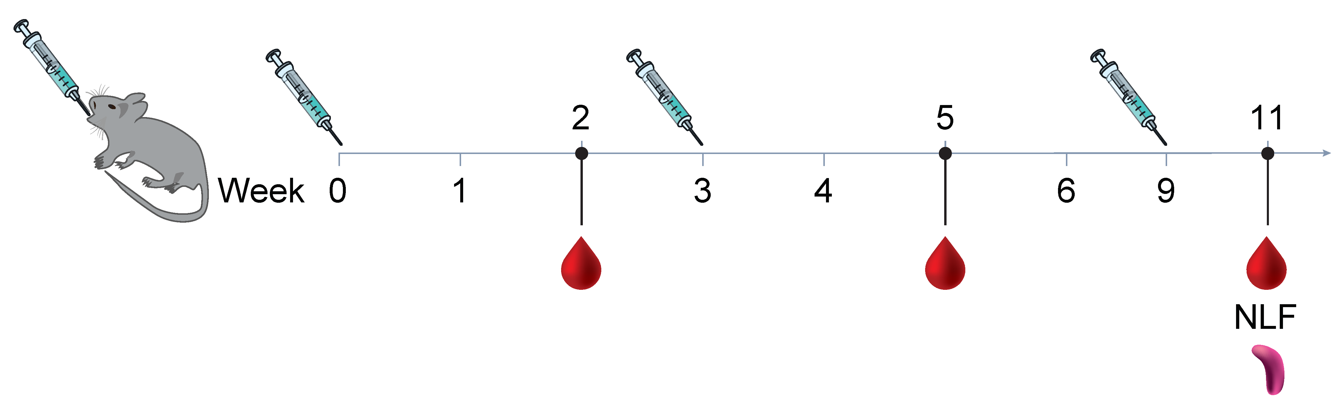 Biomedicines 13 01112 g001