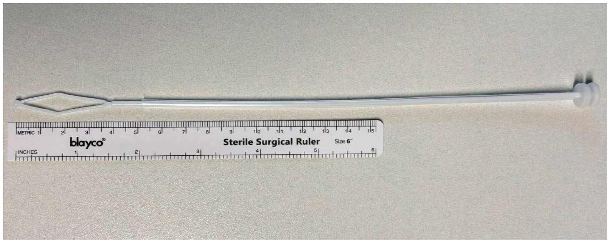 Biomedicines 13 01113 g001