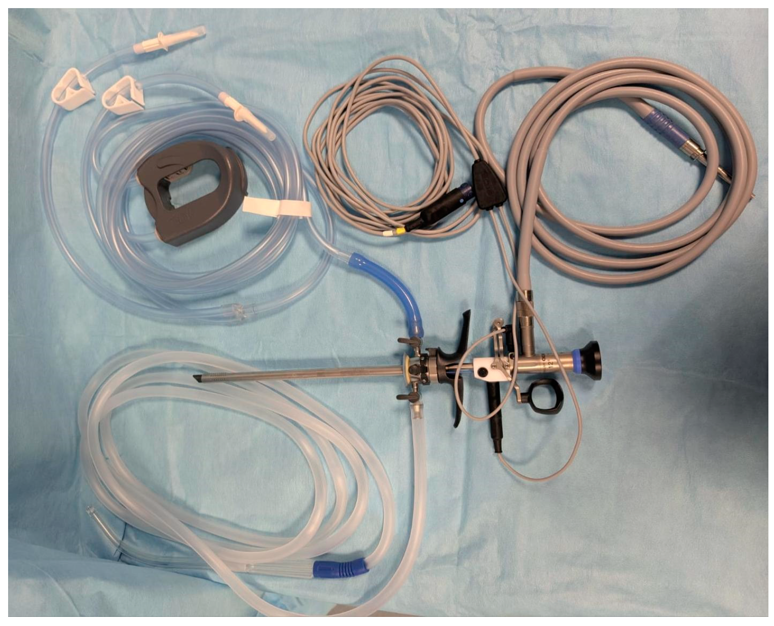 Biomedicines 13 01113 g002