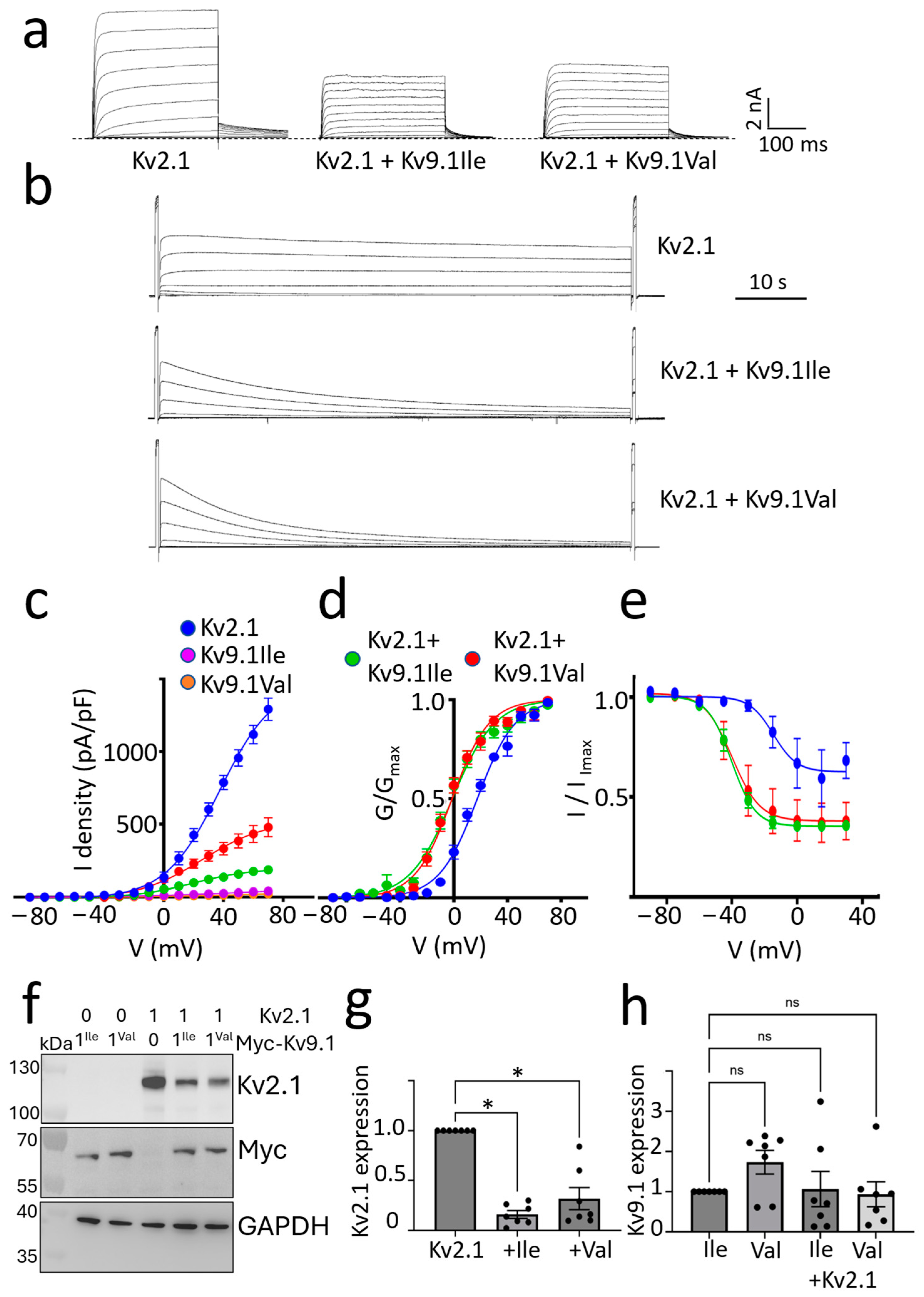 Biomedicines 13 01119 g003