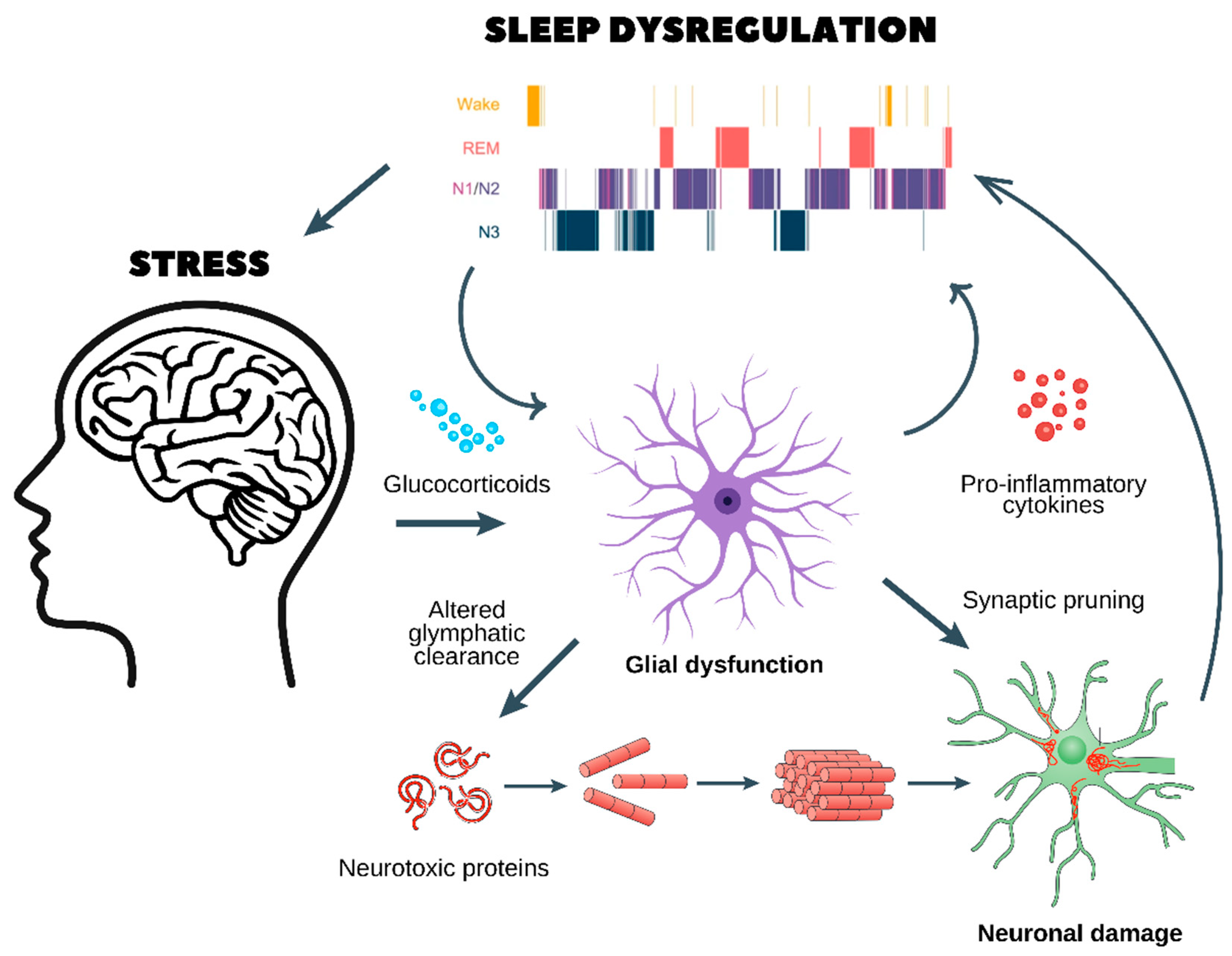 Biomedicines 13 01121 g002