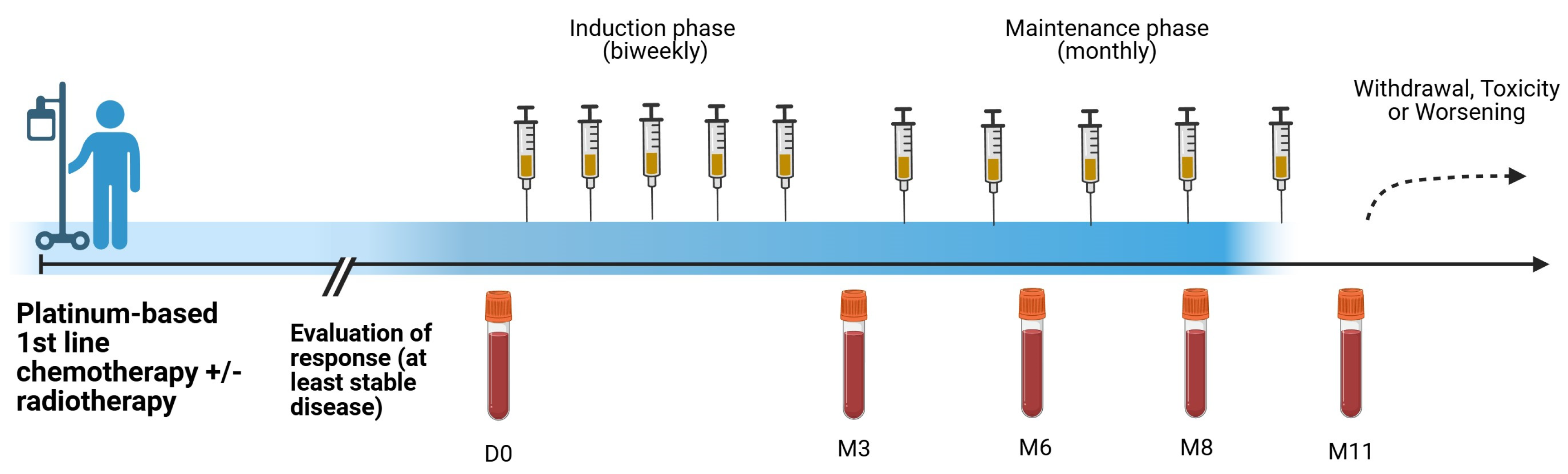 Biomedicines 13 01122 g001