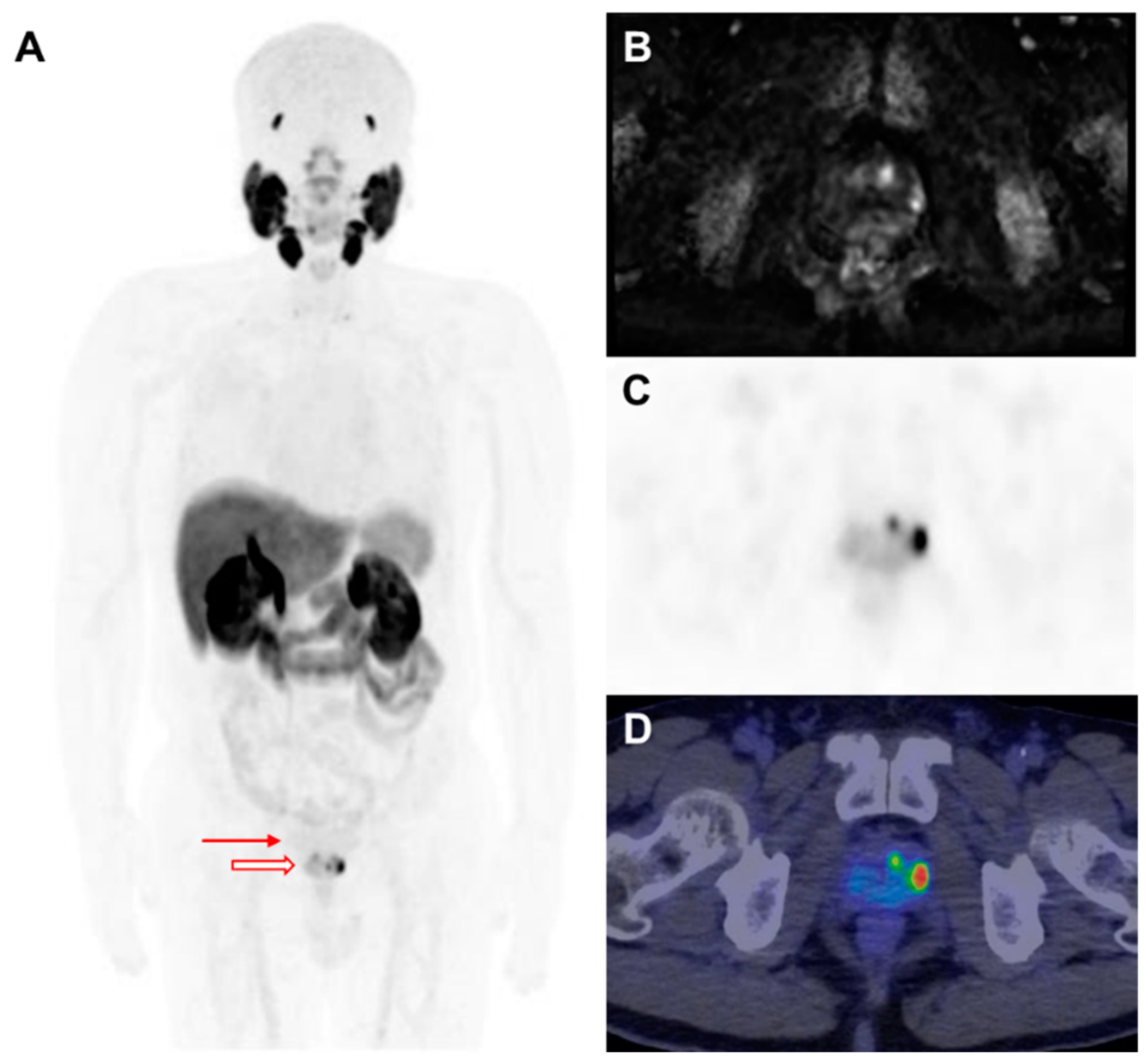 Biomedicines 13 01132 g003