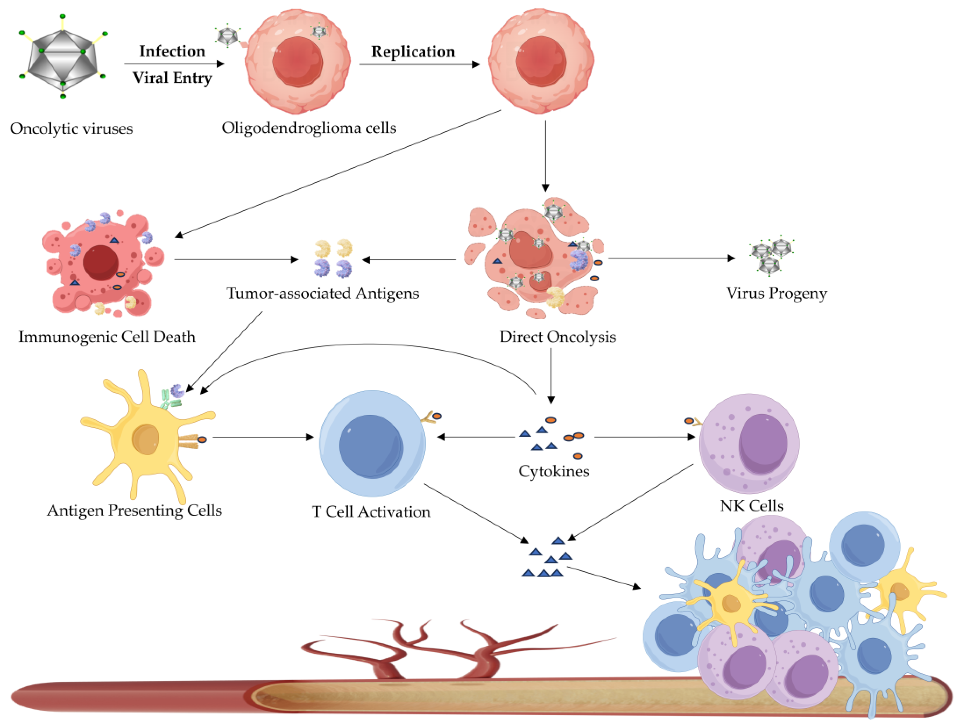 Biomedicines 13 01133 g003