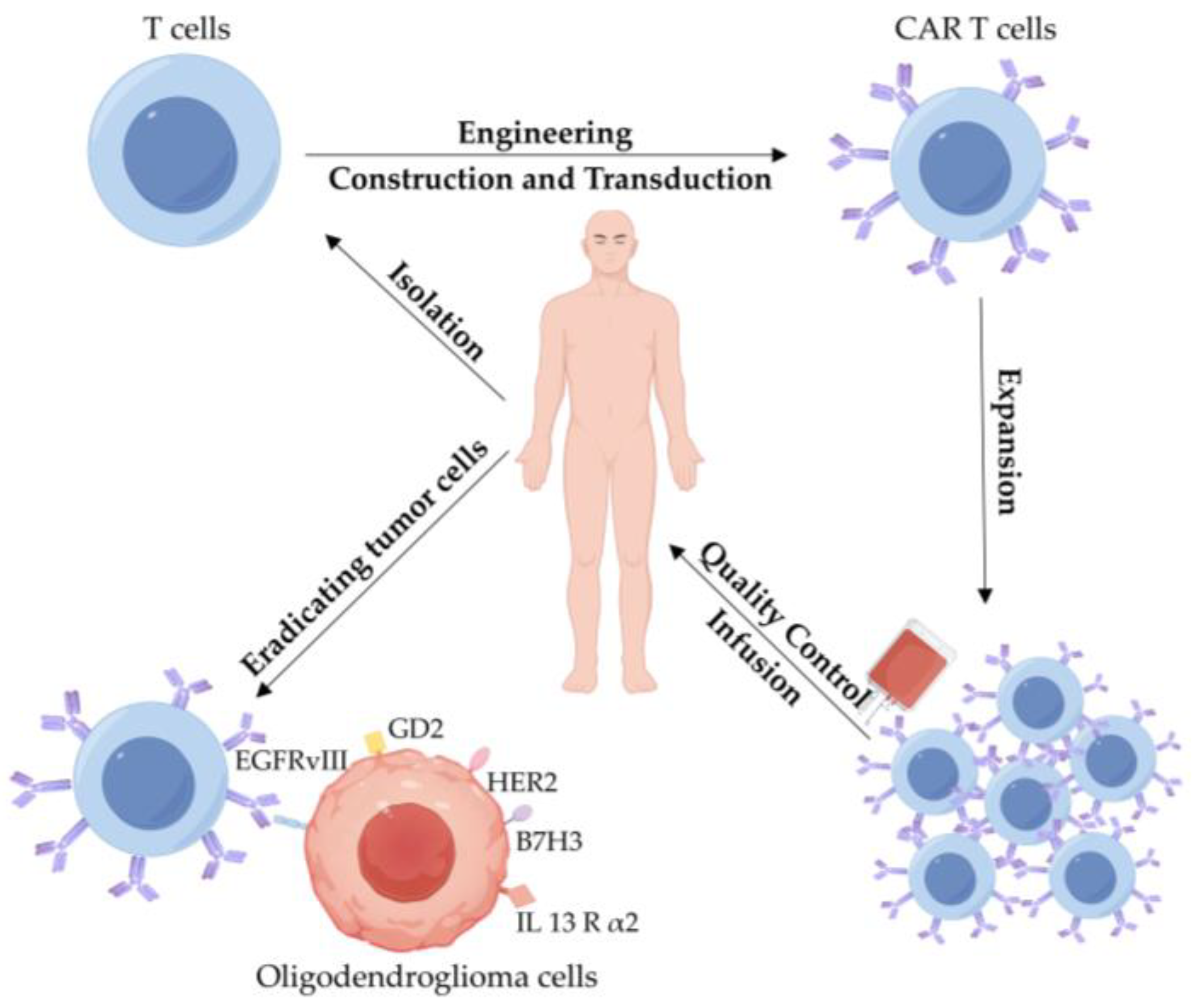 Biomedicines 13 01133 g004