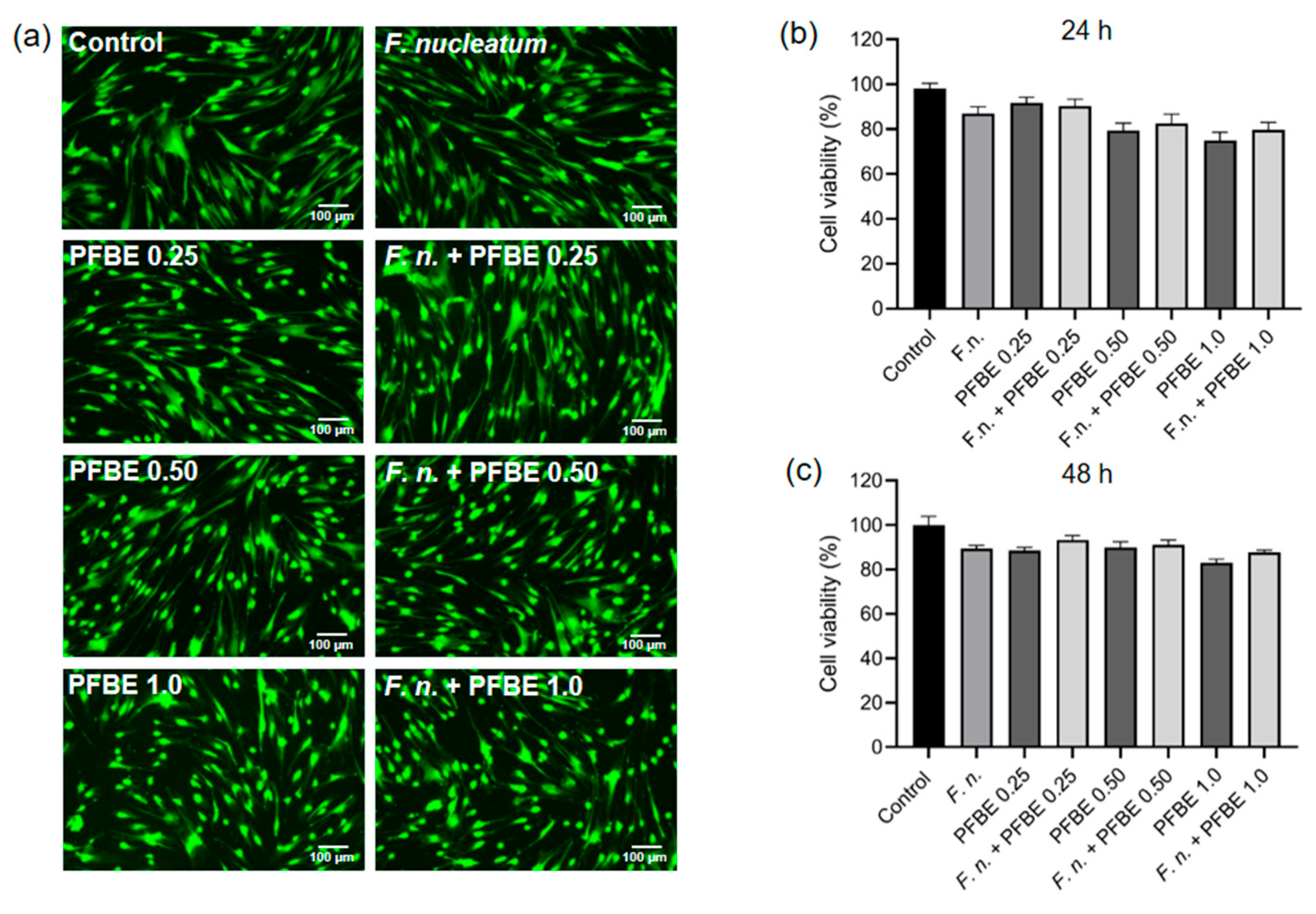 Biomedicines 13 01134 g005