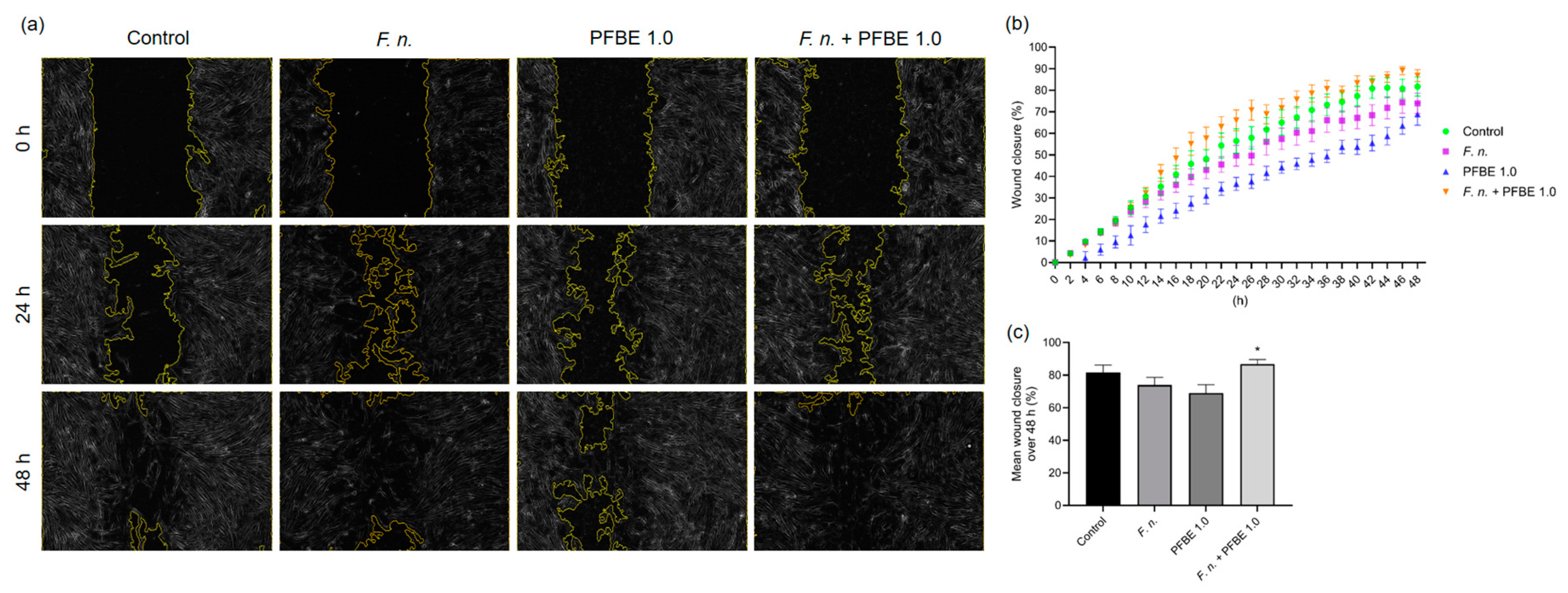Biomedicines 13 01134 g006