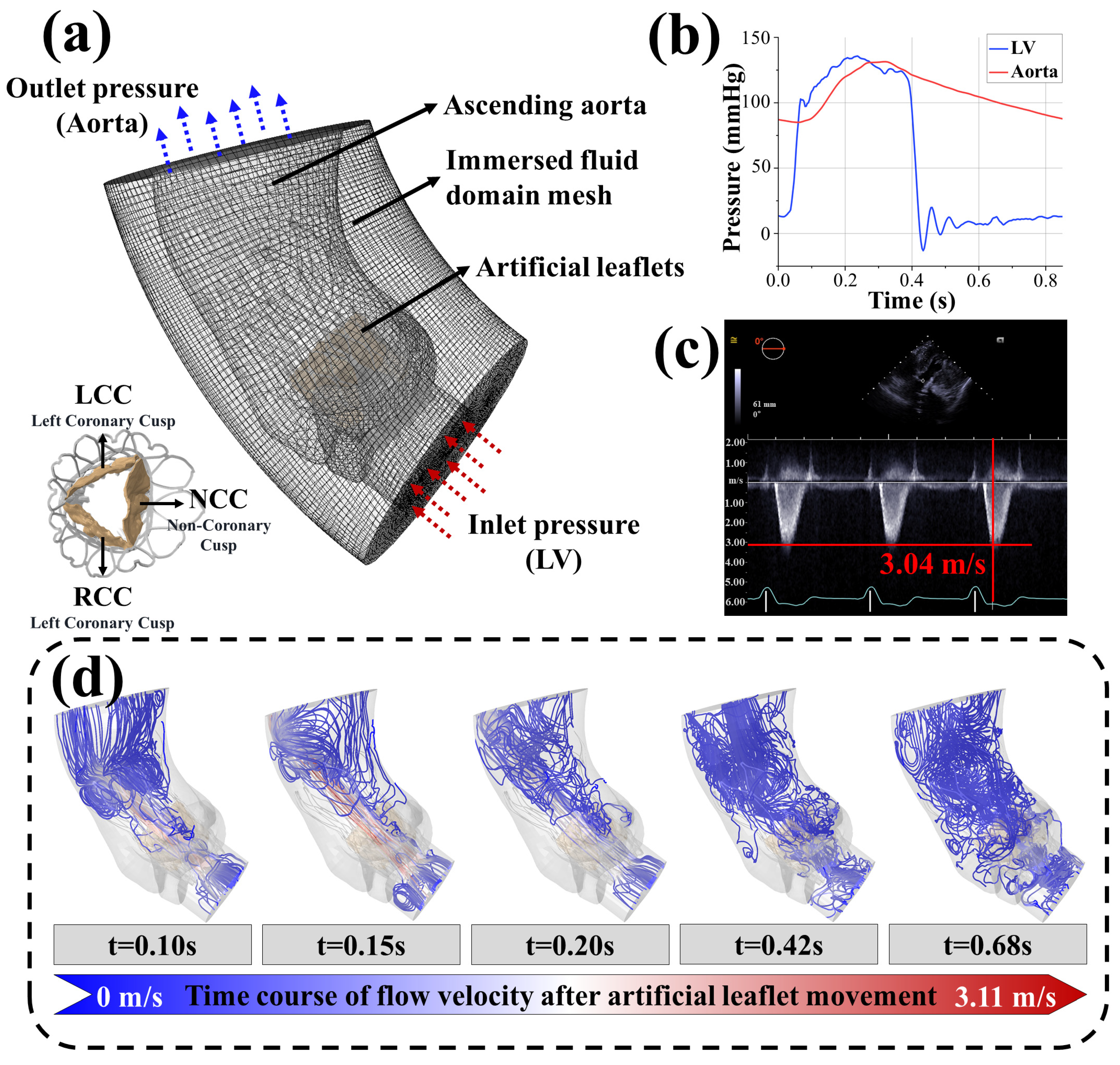 Biomedicines 13 01135 g002