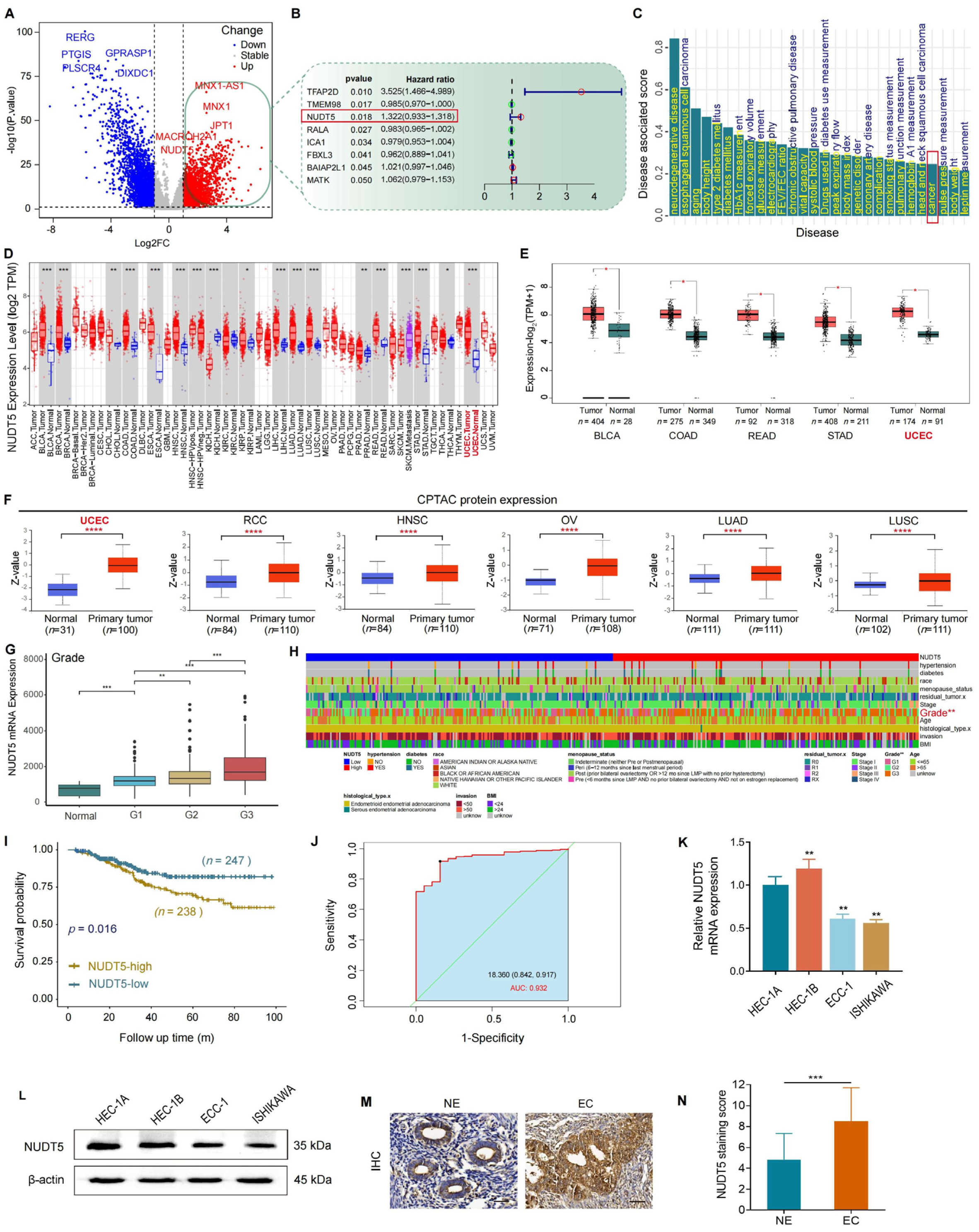 Biomedicines 13 01136 g001