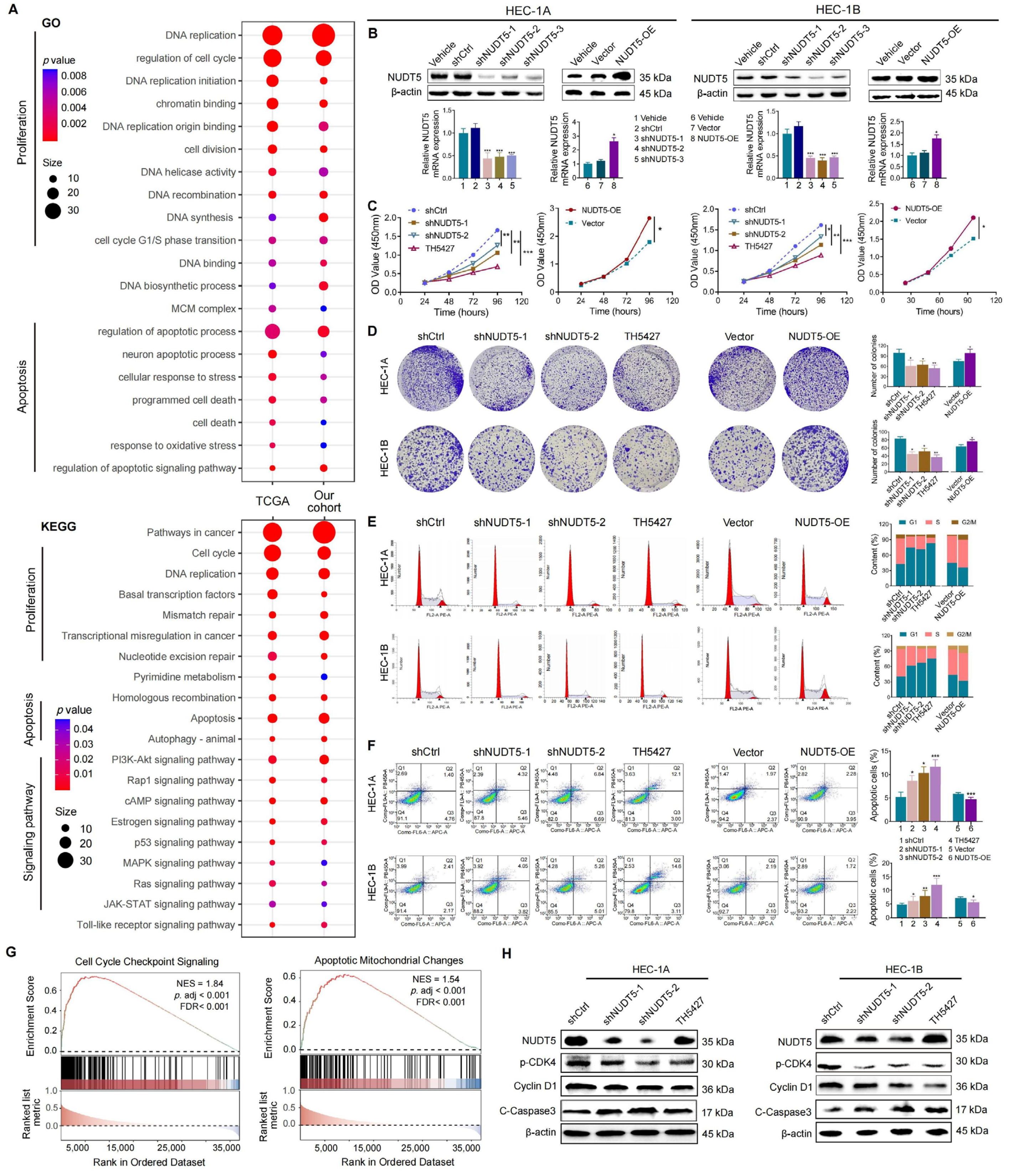 Biomedicines 13 01136 g002