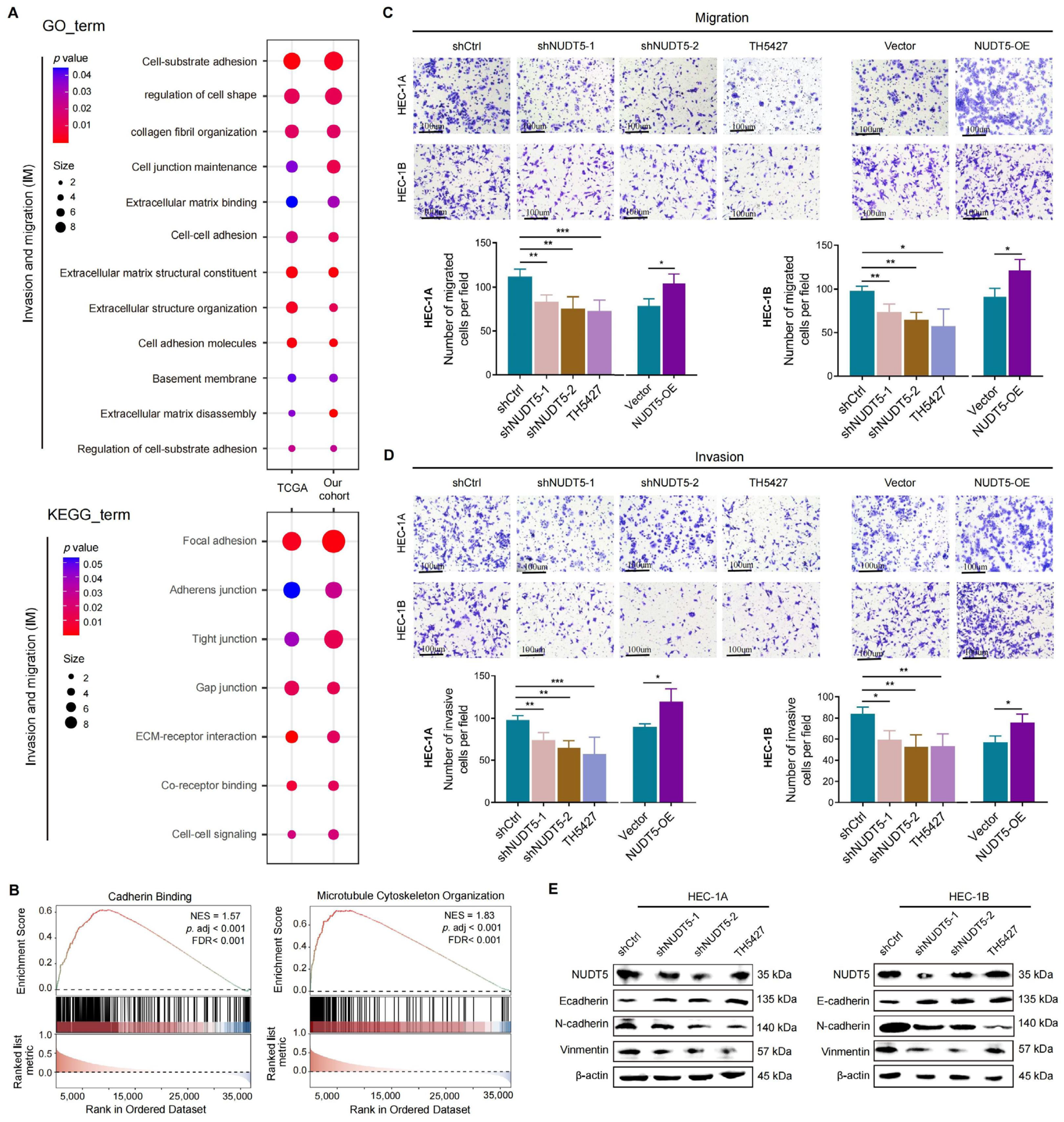 Biomedicines 13 01136 g003