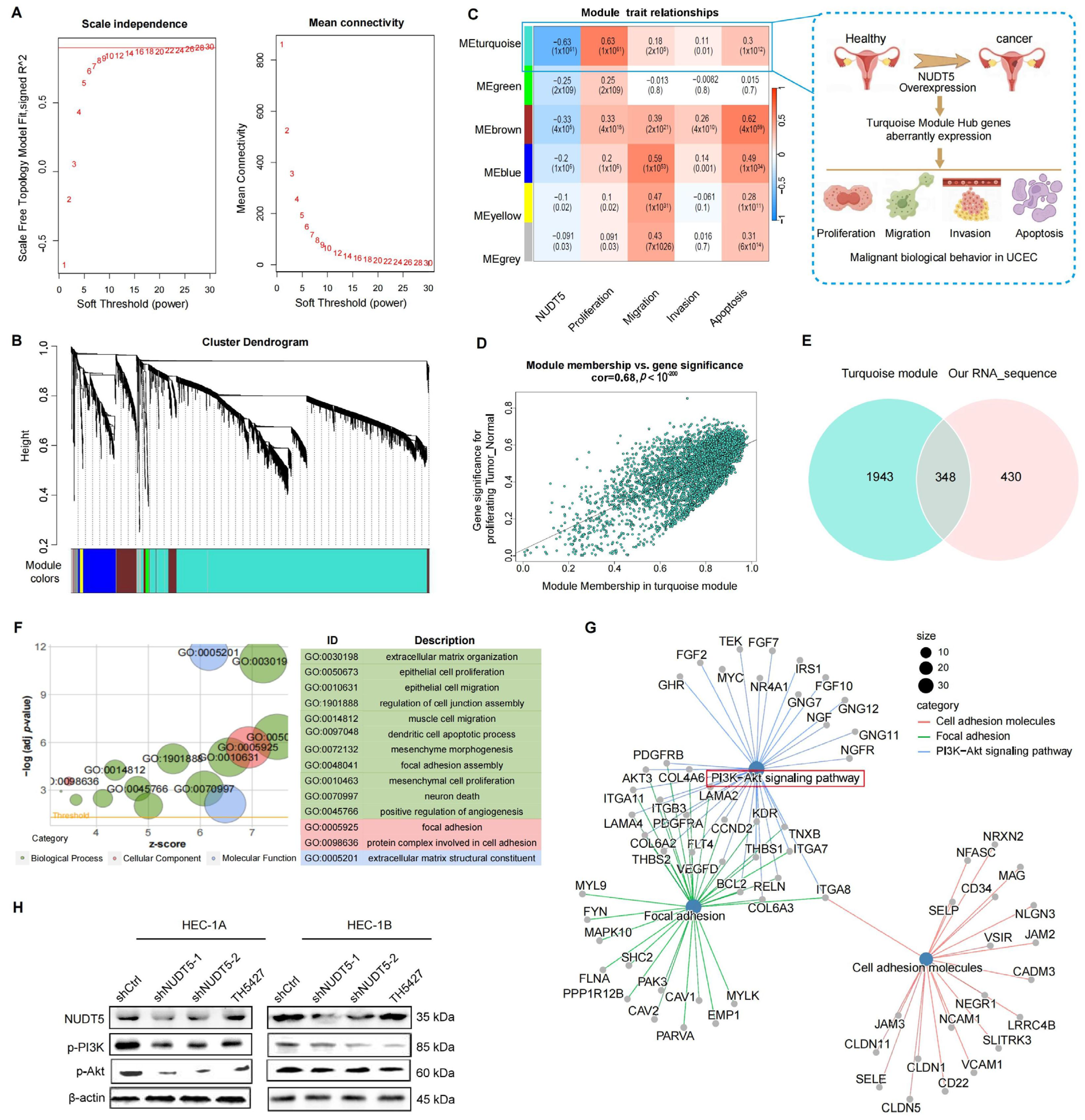 Biomedicines 13 01136 g005