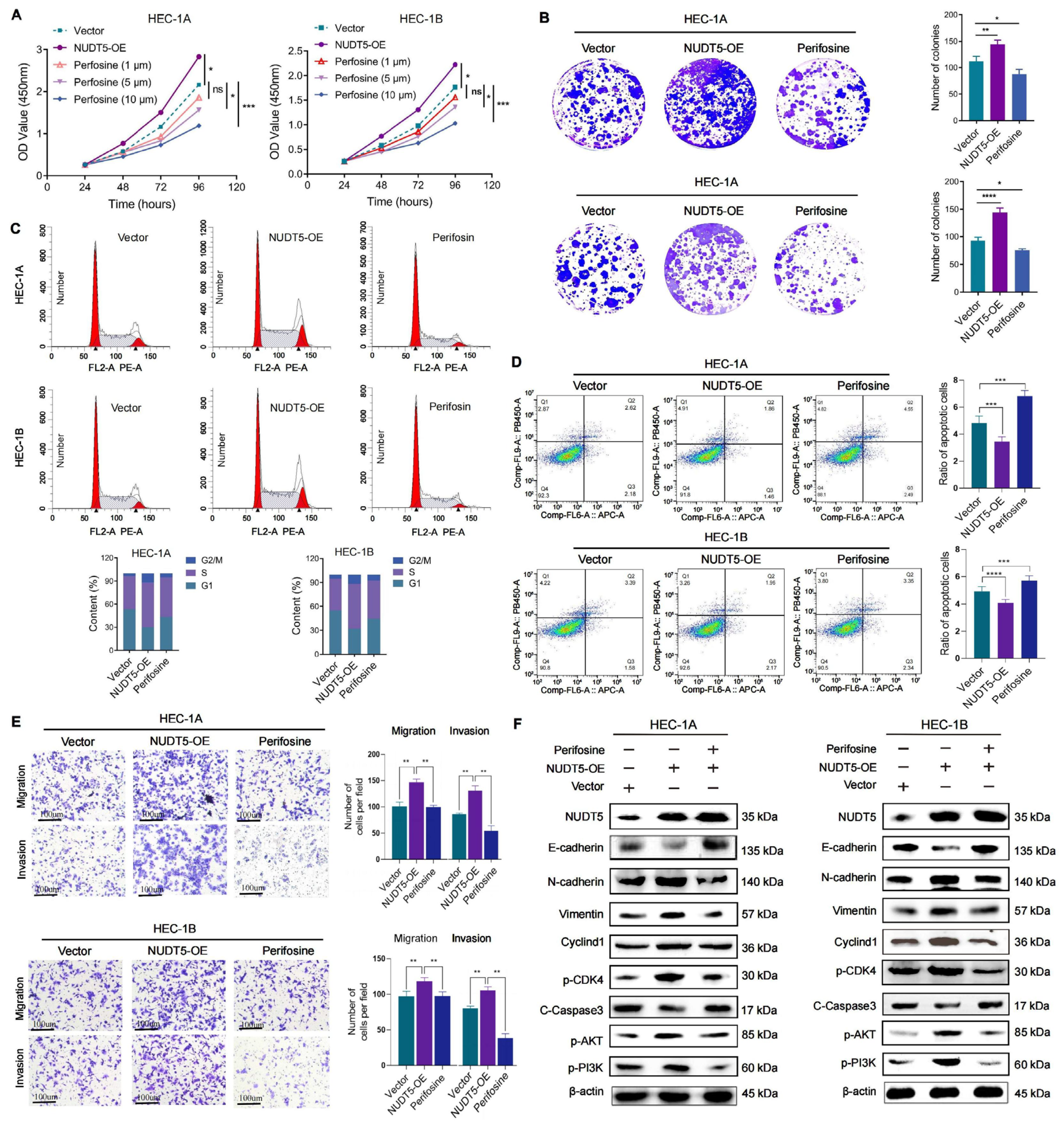 Biomedicines 13 01136 g006