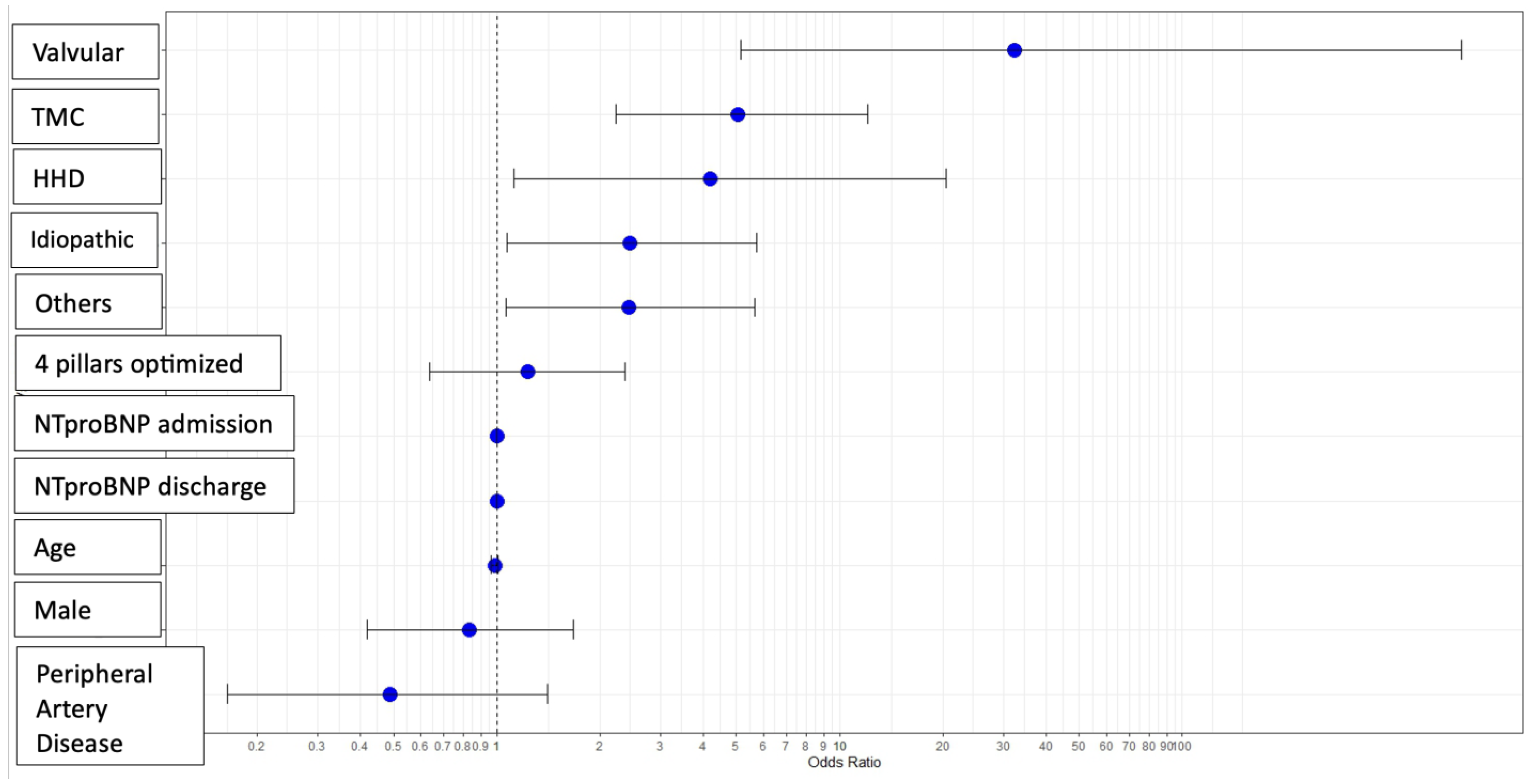 Biomedicines 13 01143 g001