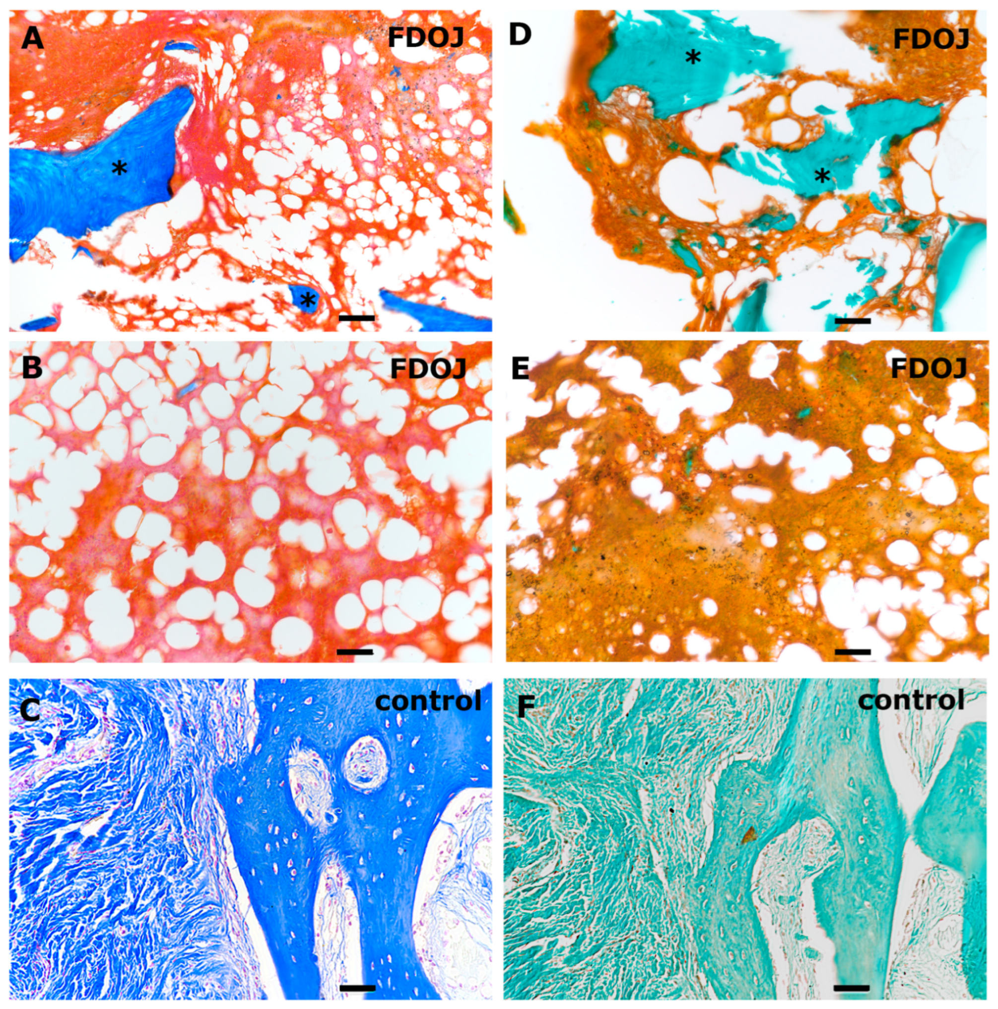 Biomedicines 13 01144 g001
