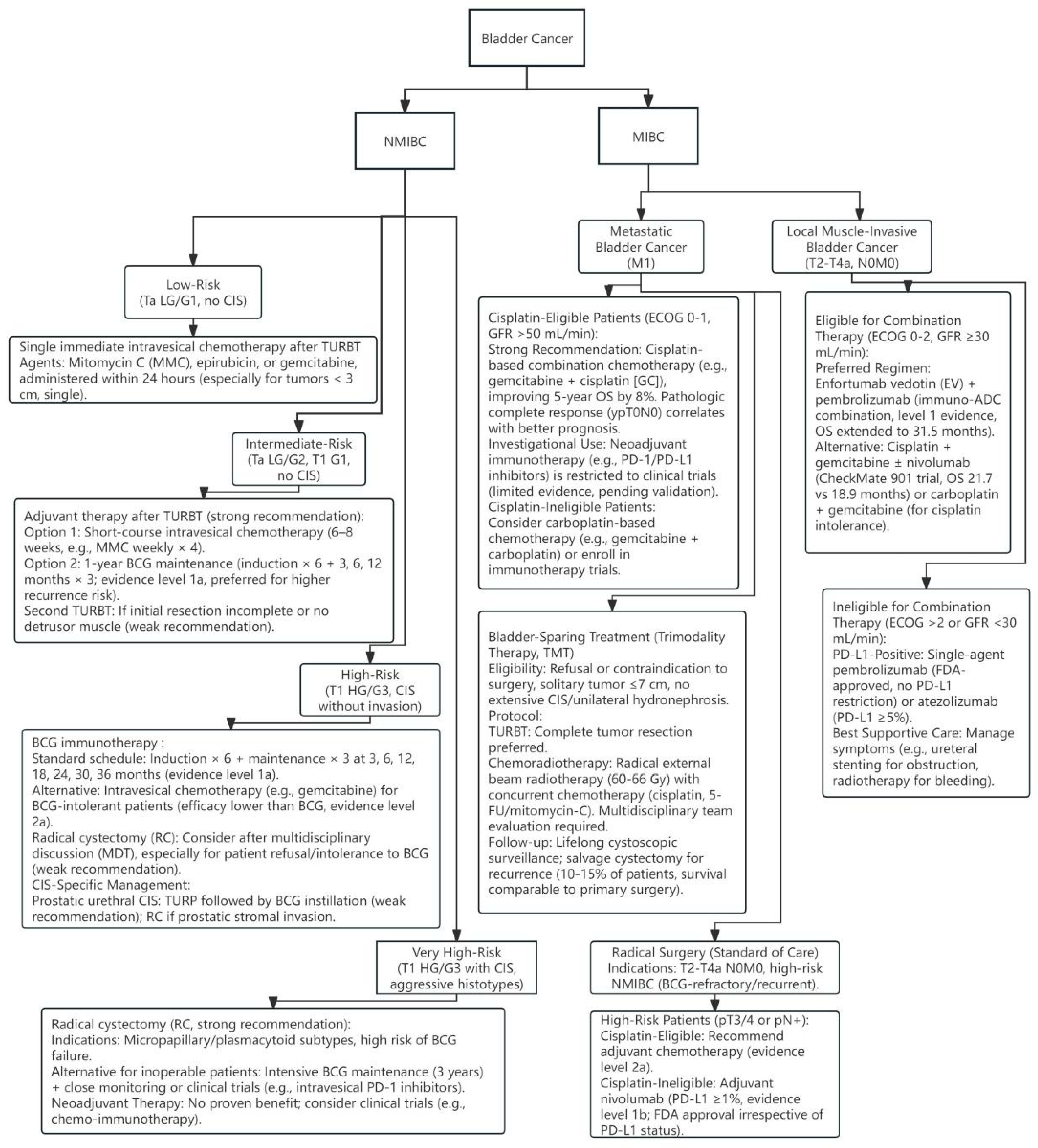Biomedicines 13 01145 g001