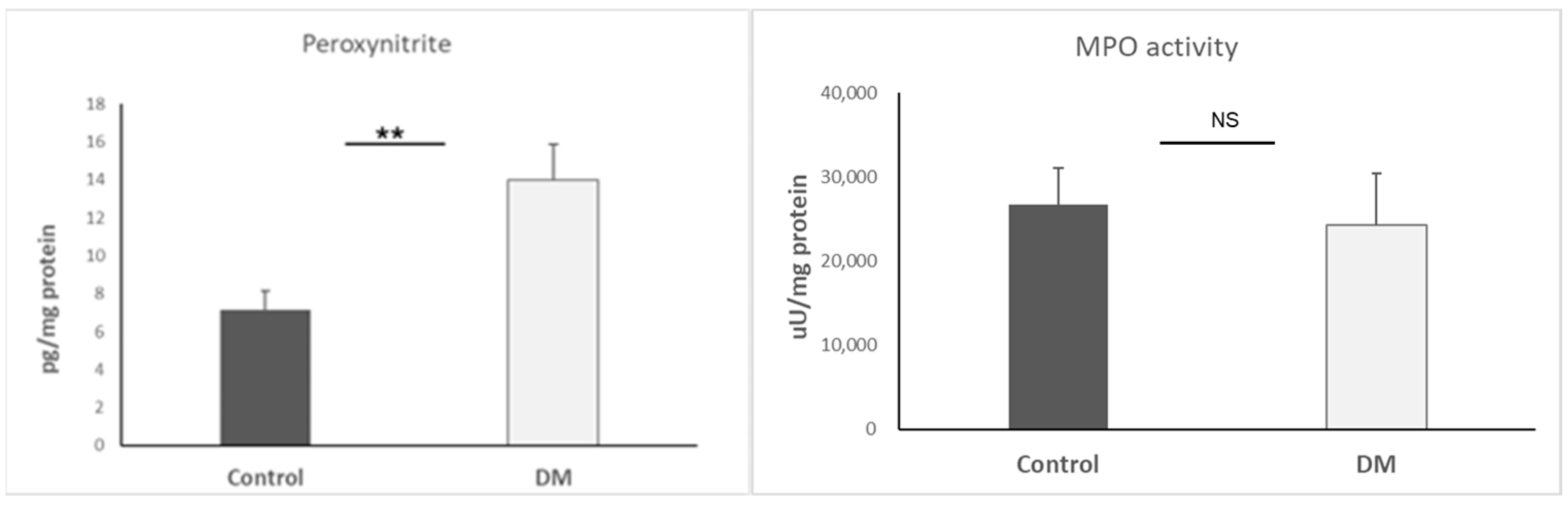 Biomedicines 13 01148 g002