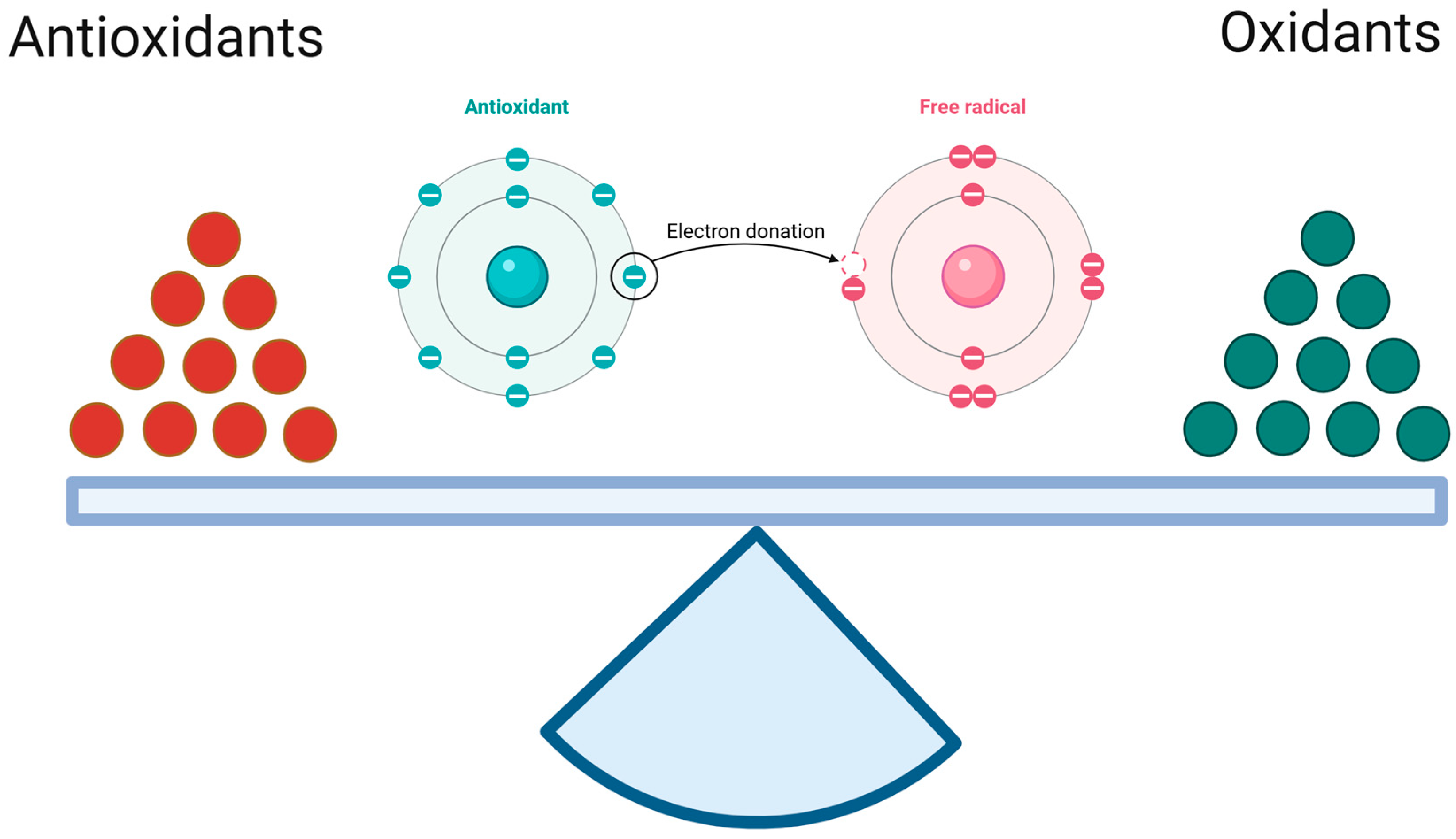 Biomedicines 13 01149 g001
