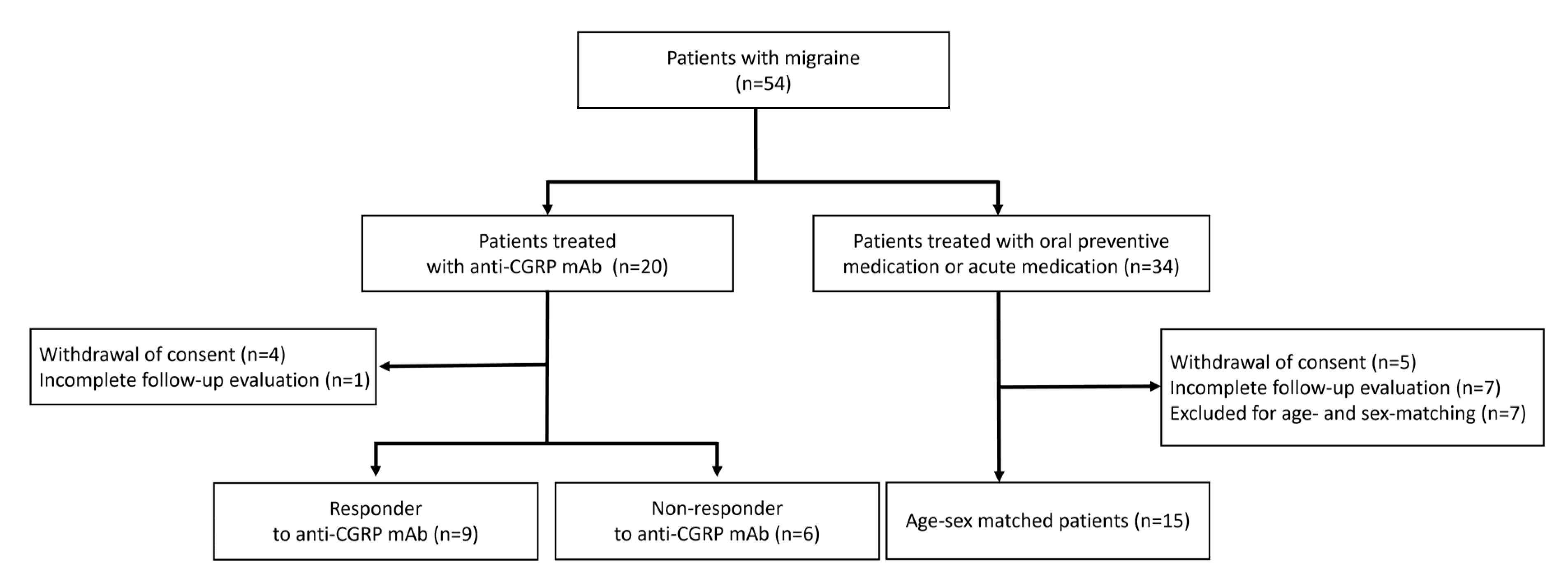 Biomedicines 13 01150 g001