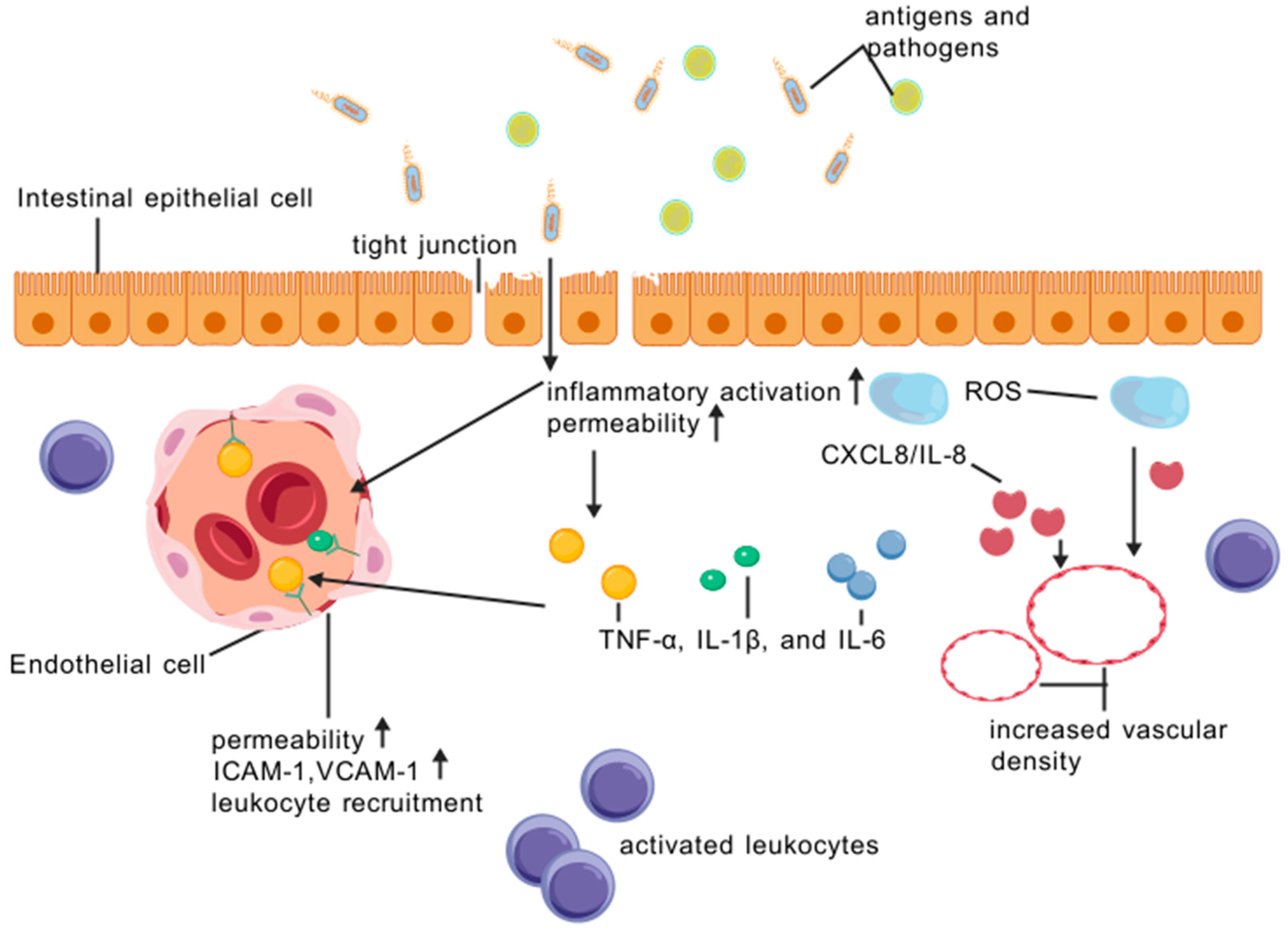 Biomedicines 13 01154 g001 Biomedicines 13 01154 g001