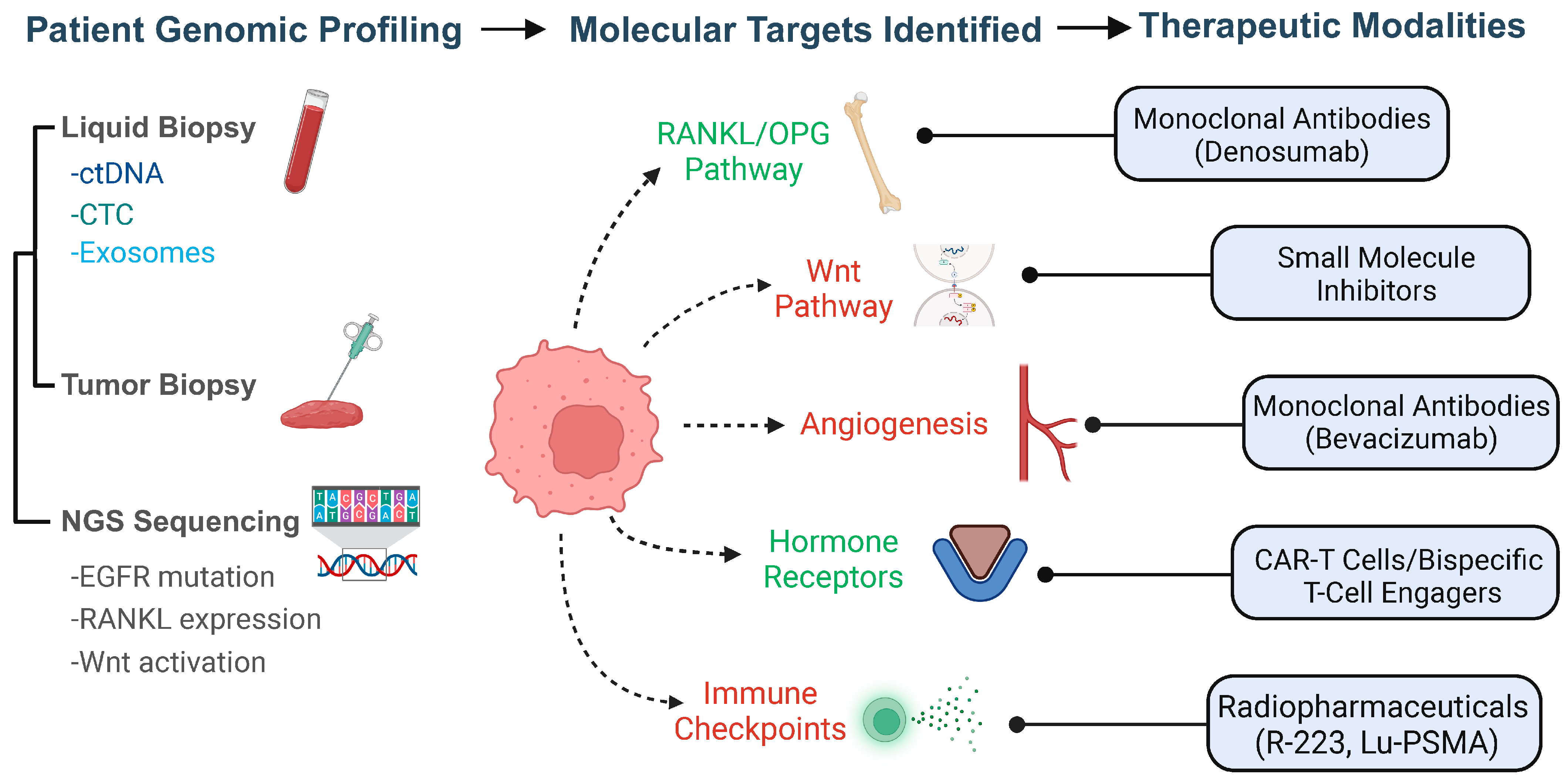 Biomedicines 13 01160 g003 Biomedicines 13 01160 g003