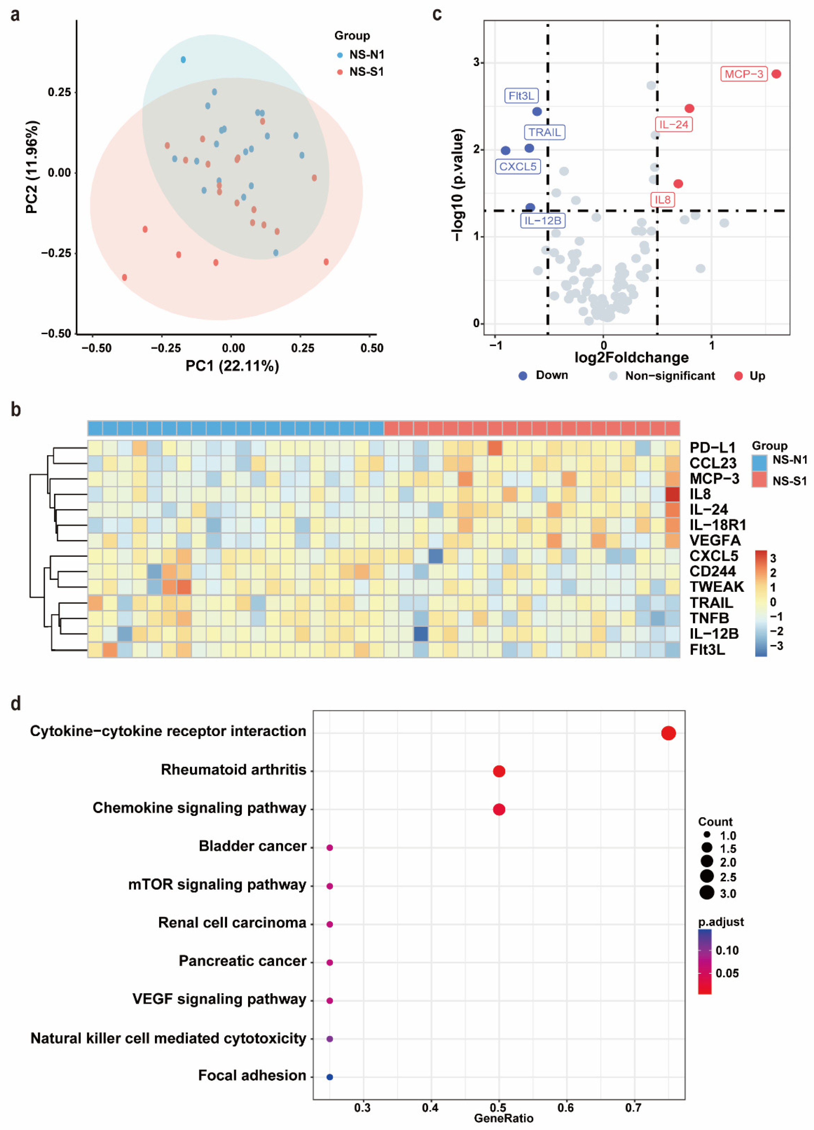 Biomedicines 13 01162 g002