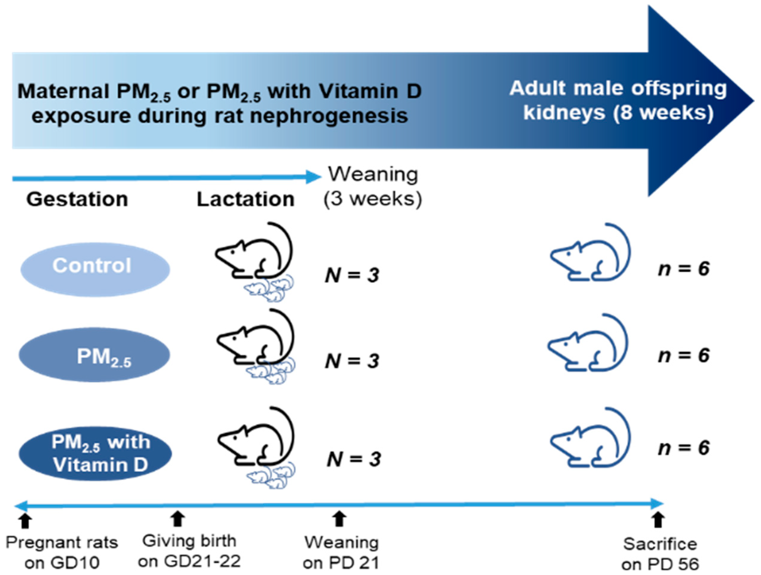 Biomedicines 13 01166 g001 Biomedicines 13 01166 g001