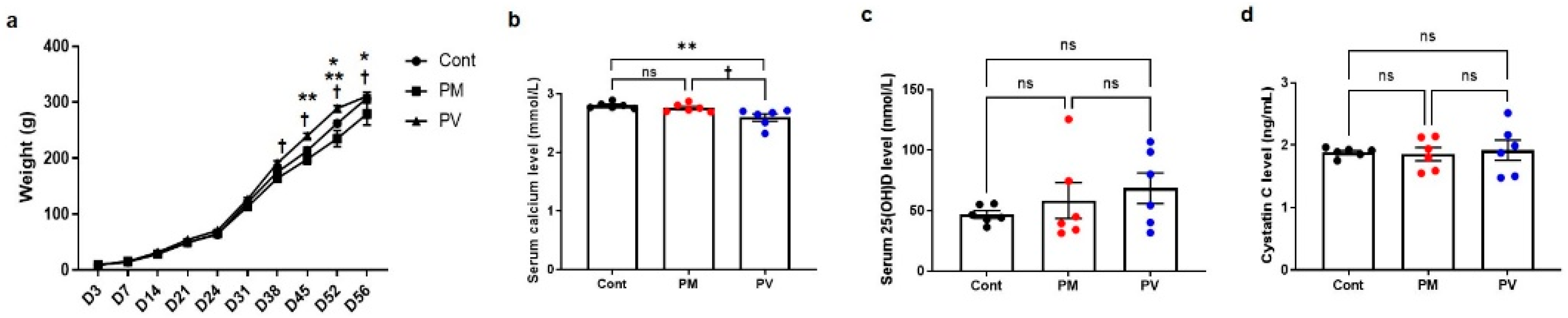Biomedicines 13 01166 g002 Biomedicines 13 01166 g002