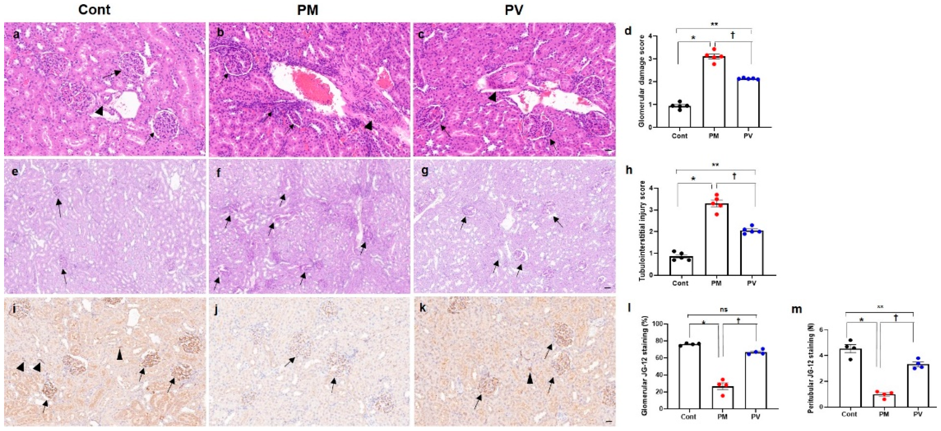 Biomedicines 13 01166 g003 Biomedicines 13 01166 g003