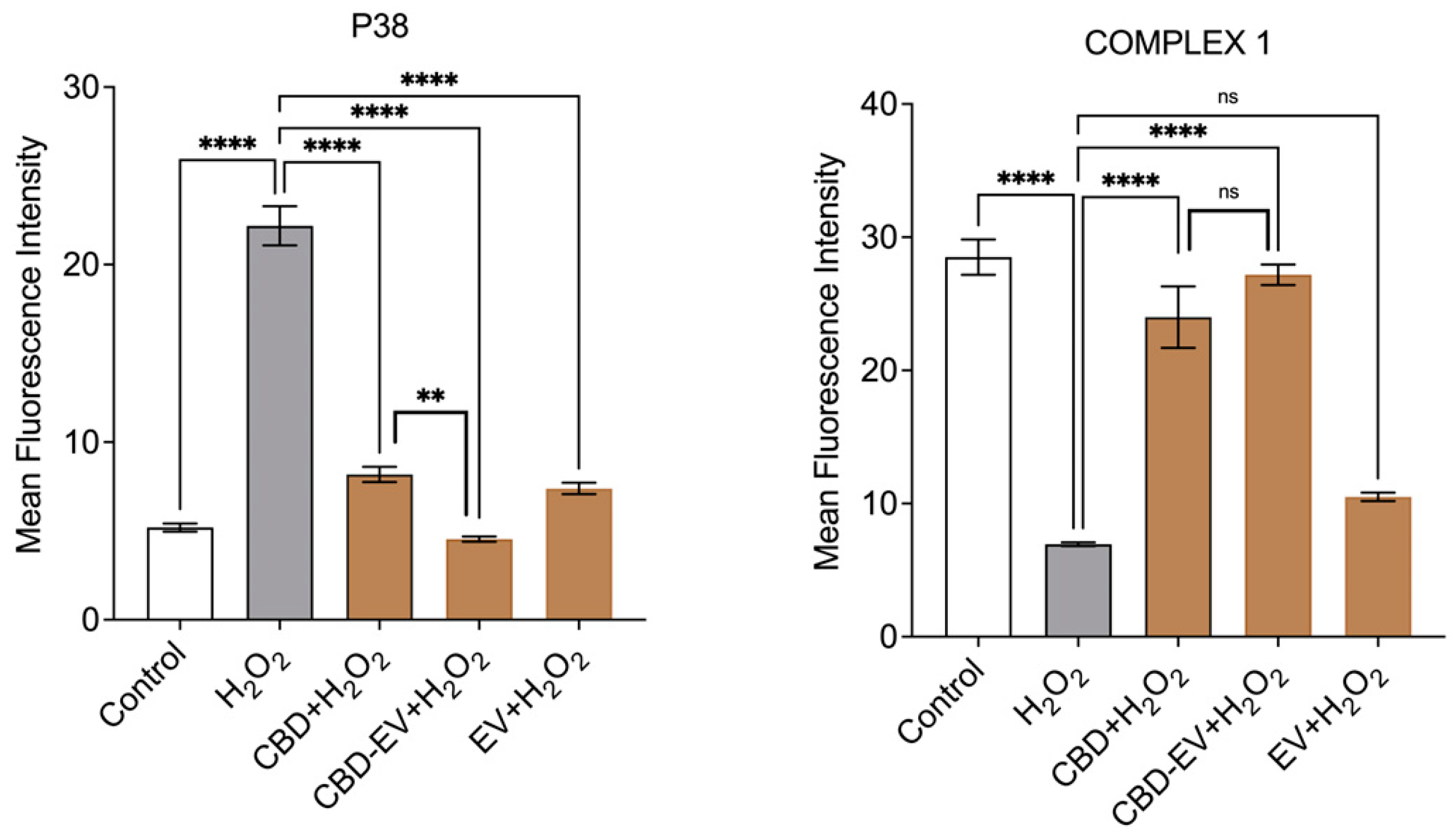 Biomedicines 13 01167 g005c