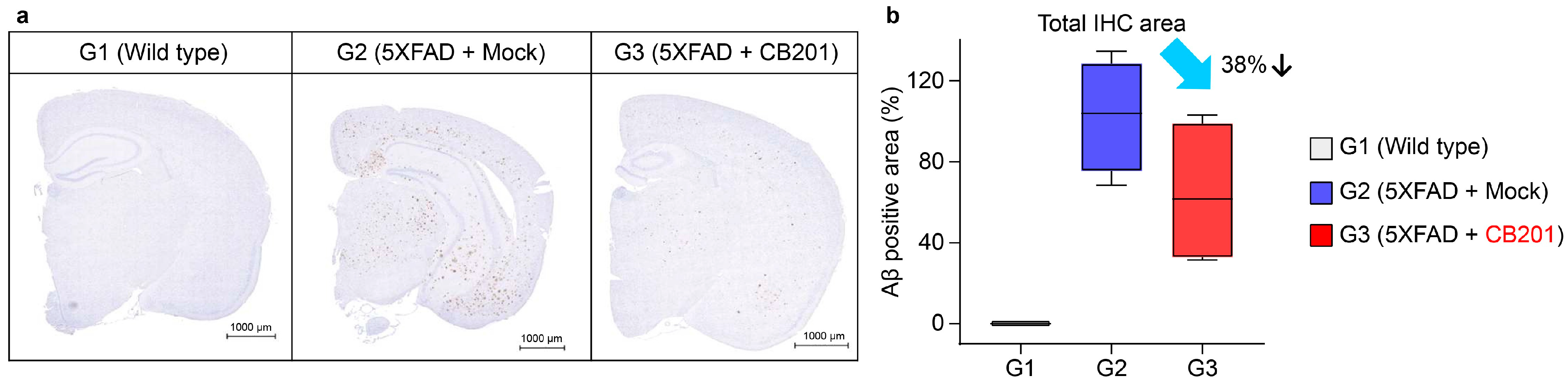 Biomedicines 13 01169 g003