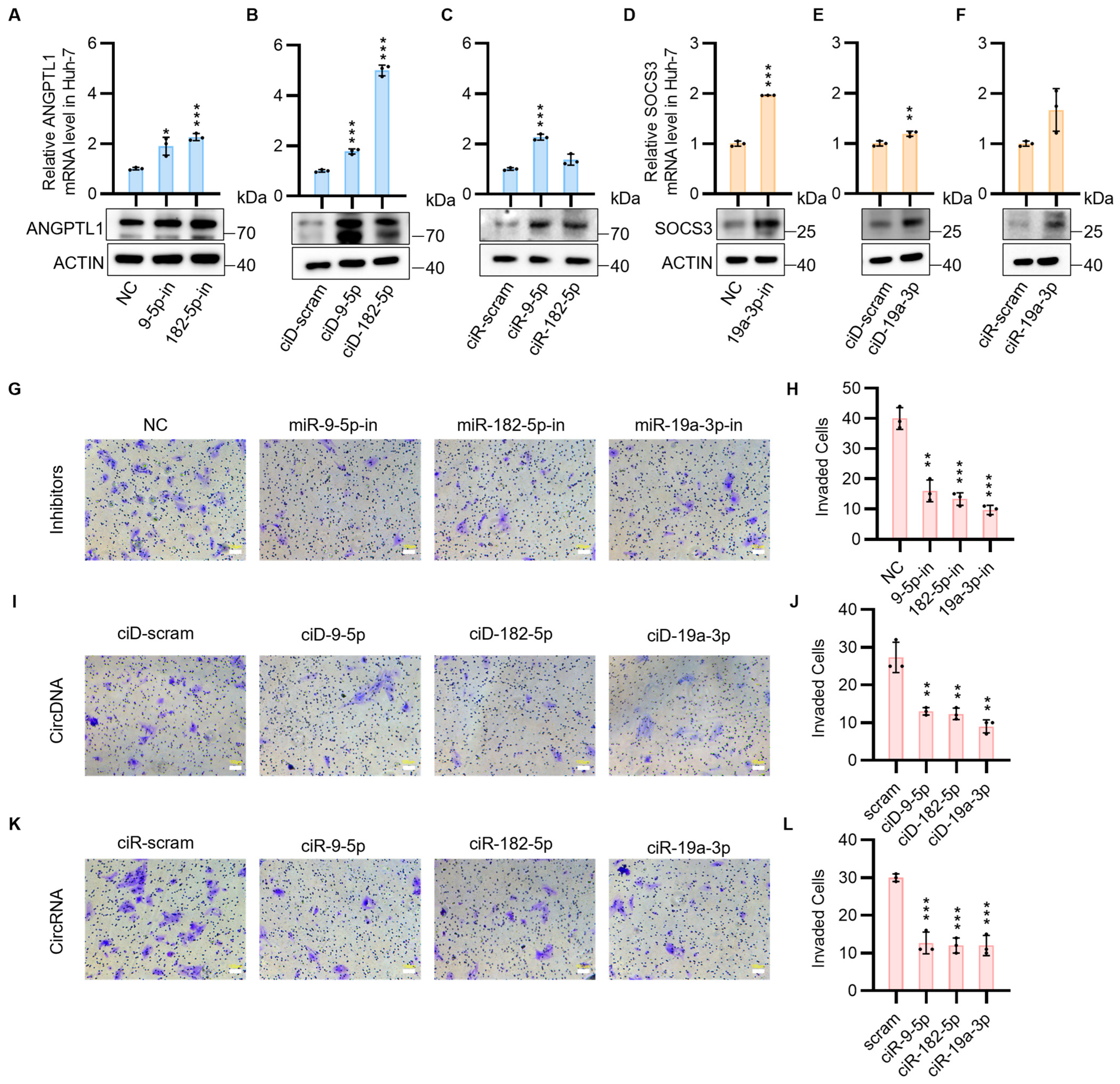 Biomedicines 13 01171 g002