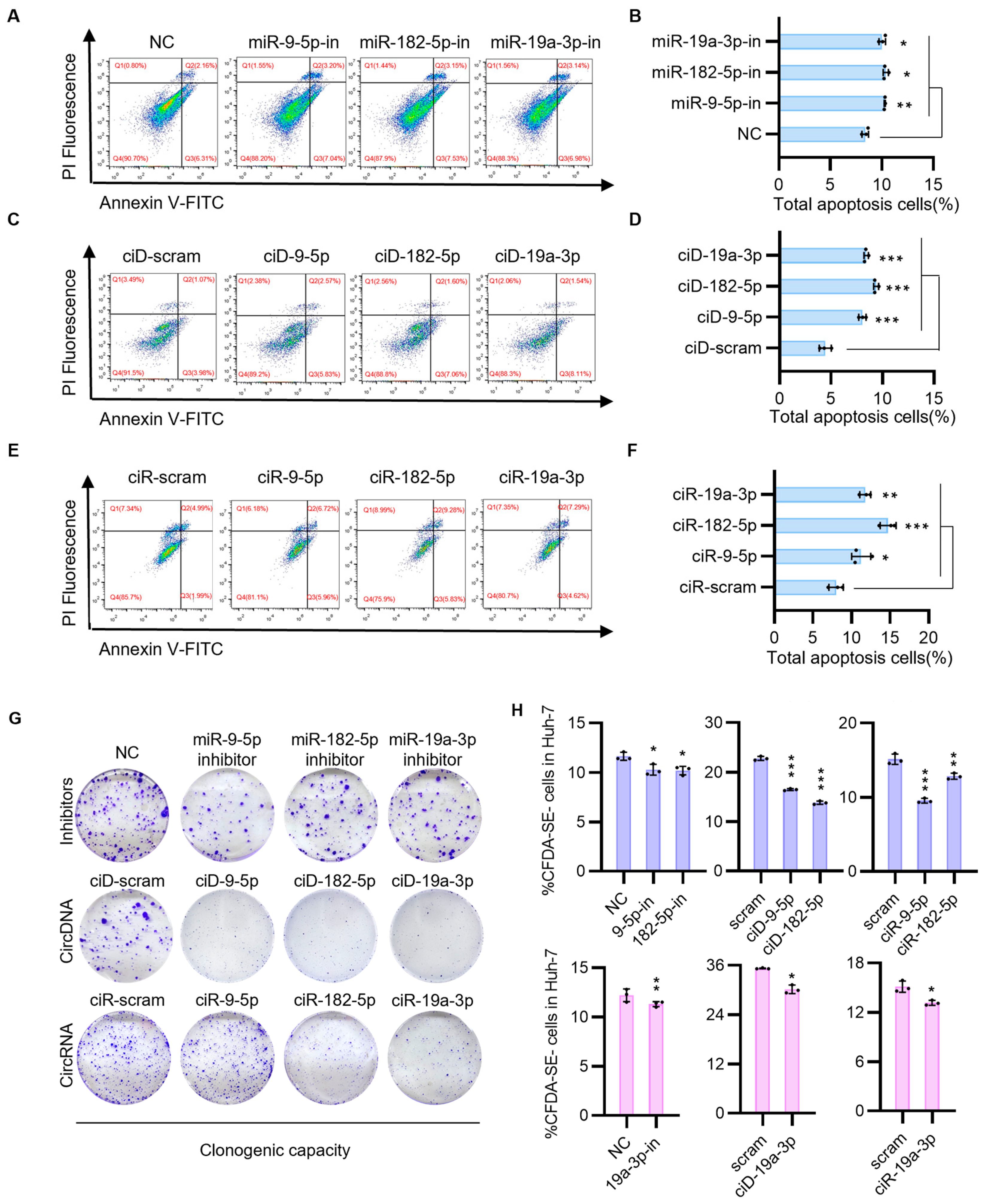 Biomedicines 13 01171 g003