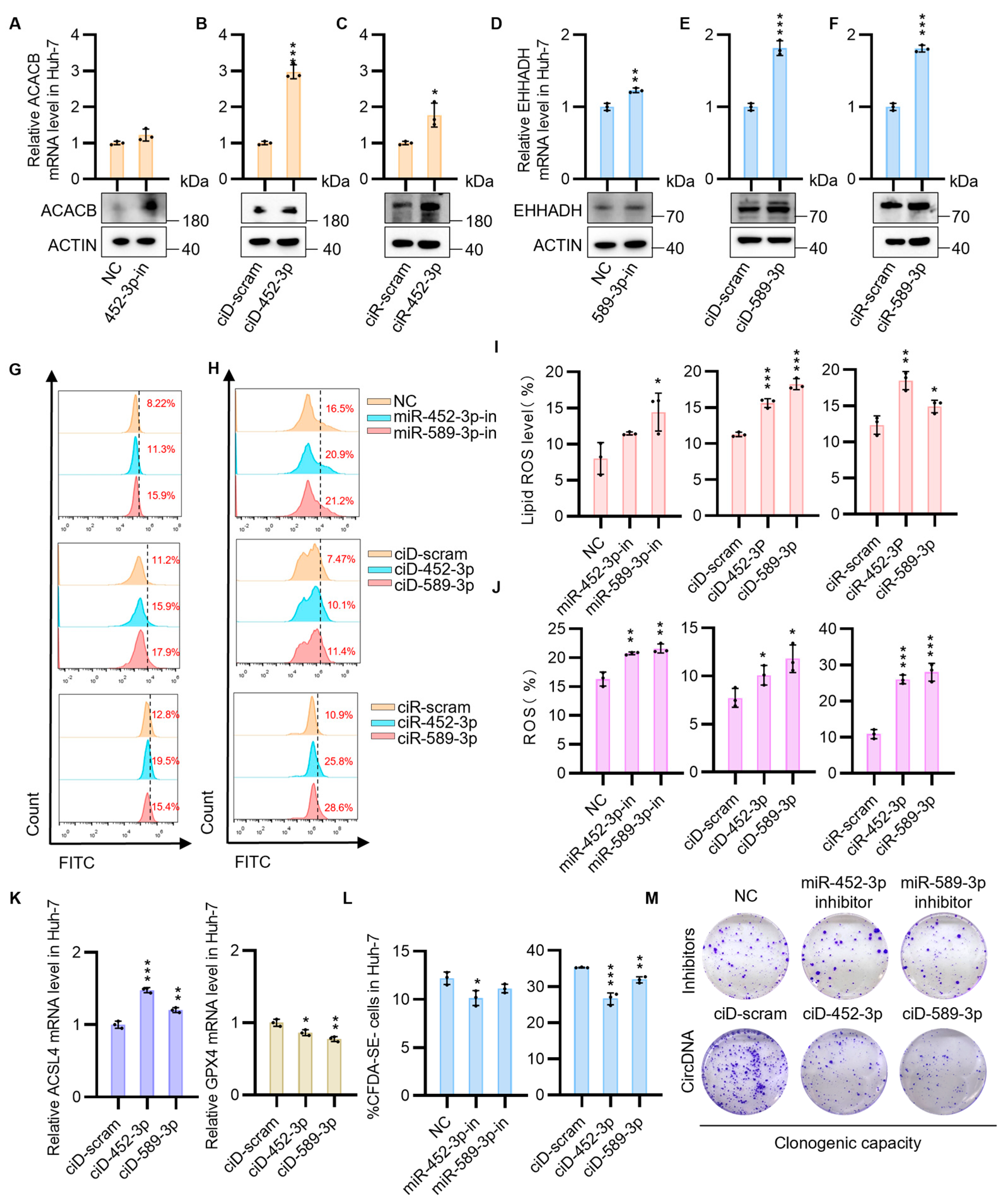 Biomedicines 13 01171 g004