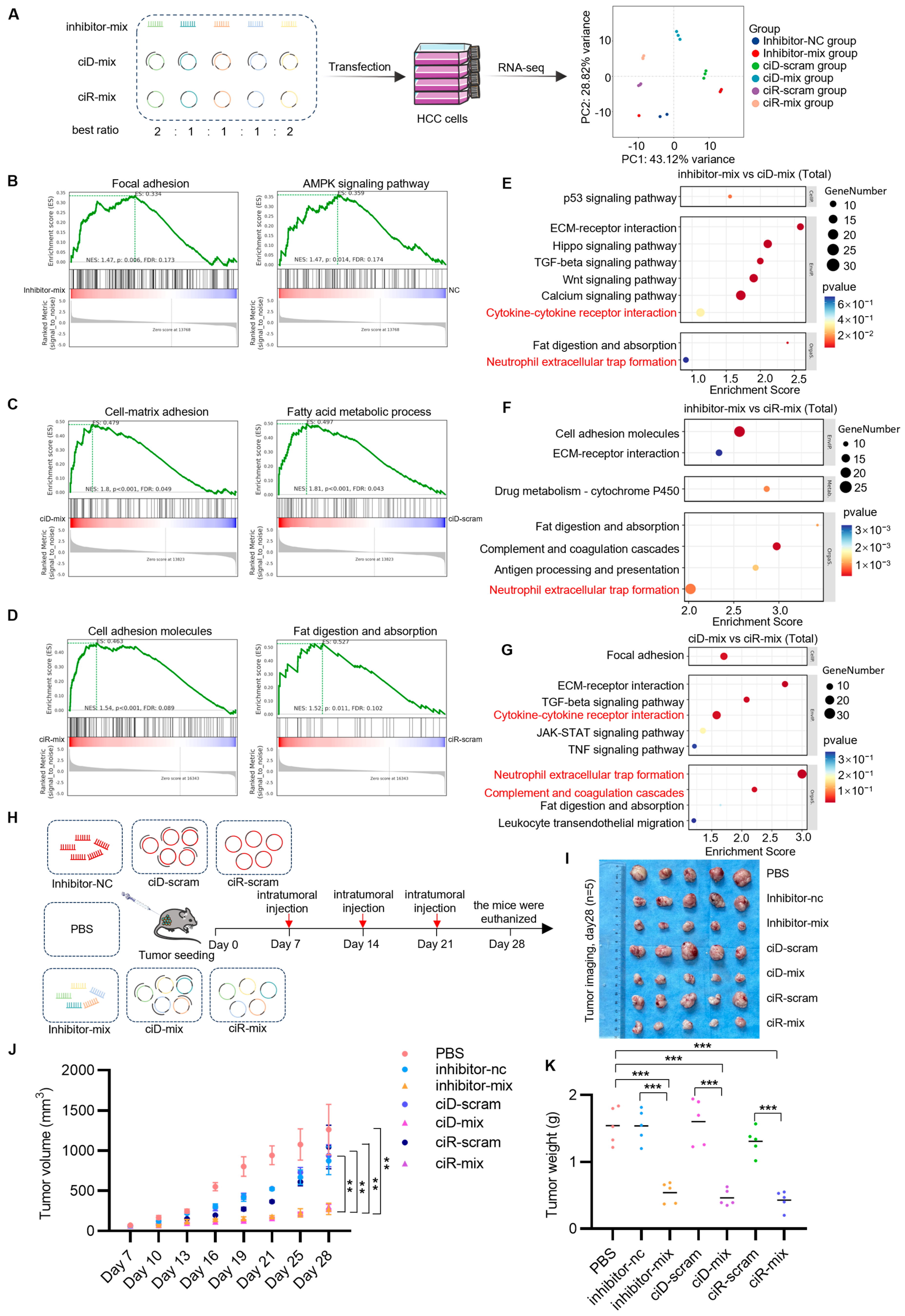 Biomedicines 13 01171 g005