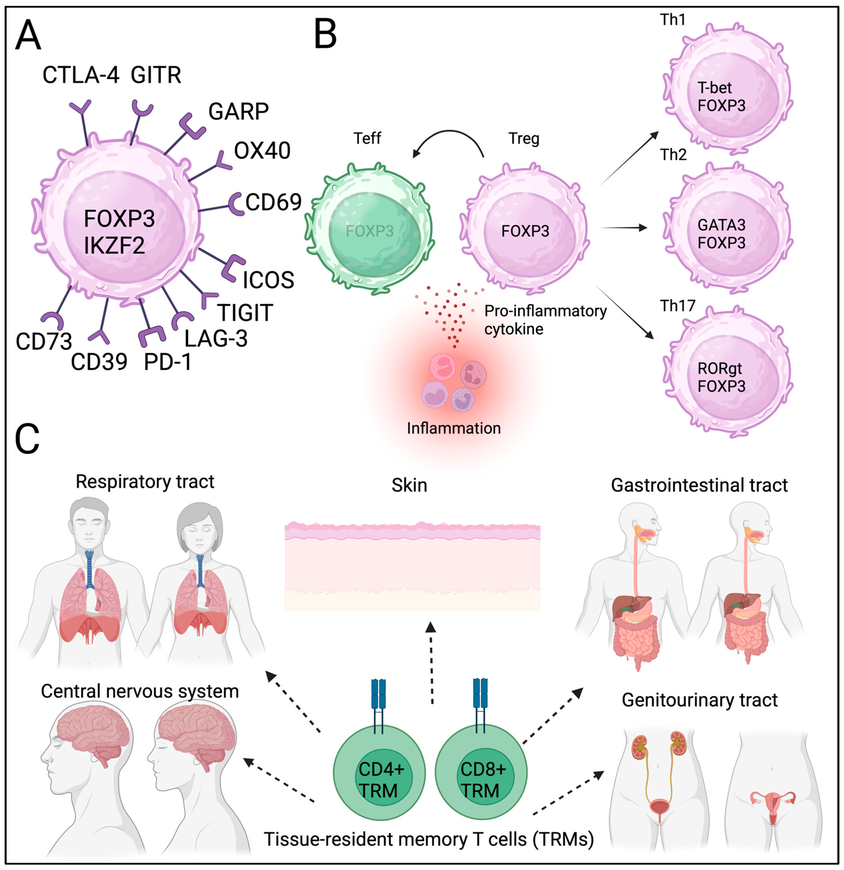 Biomedicines 13 01173 g001