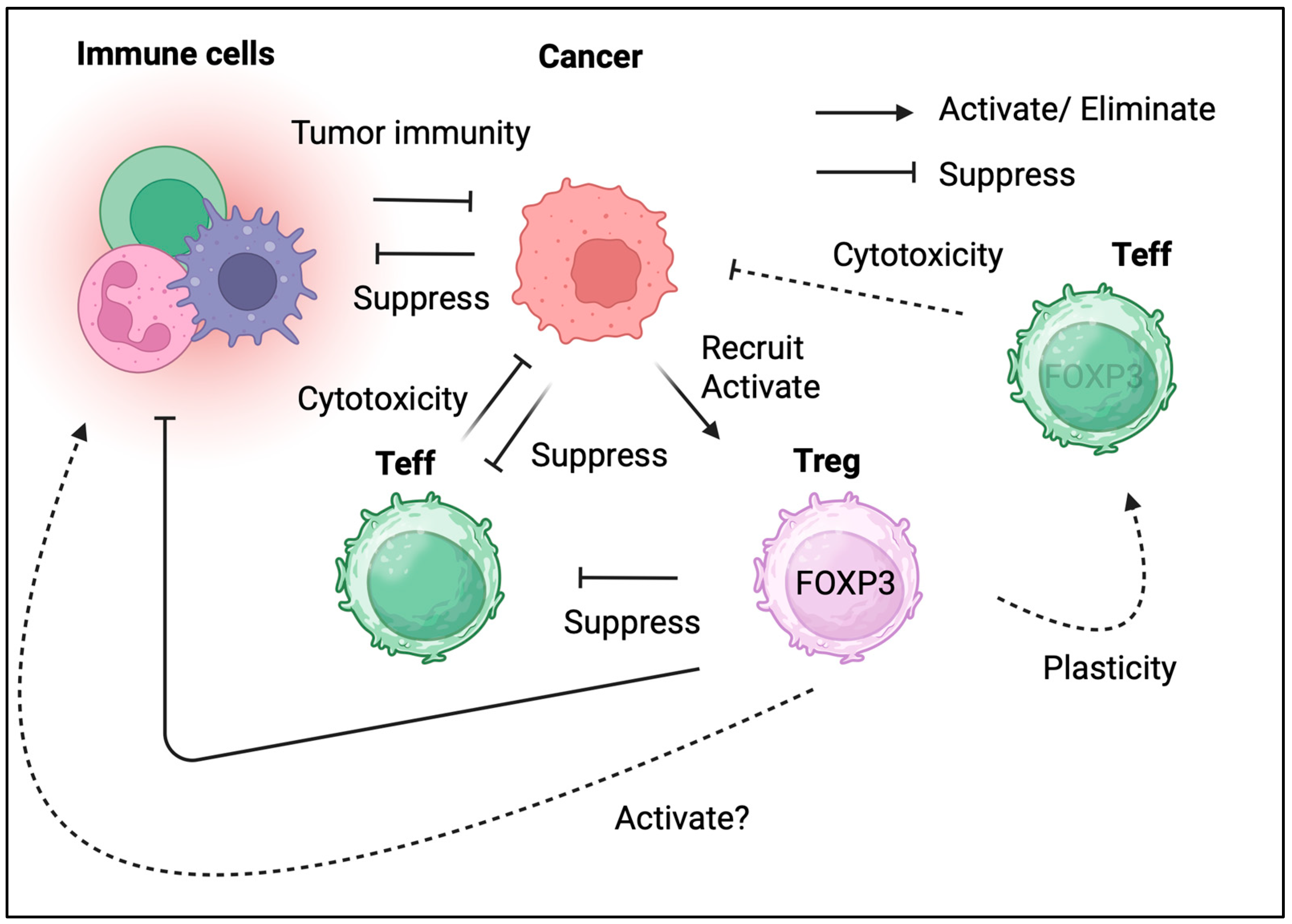 Biomedicines 13 01173 g002
