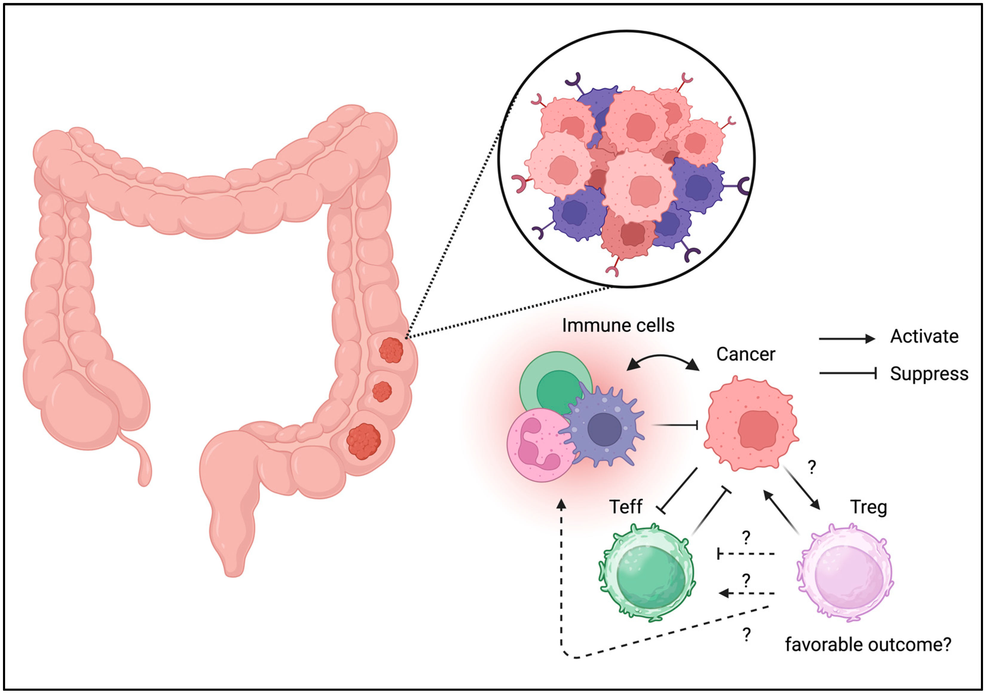 Biomedicines 13 01173 g003