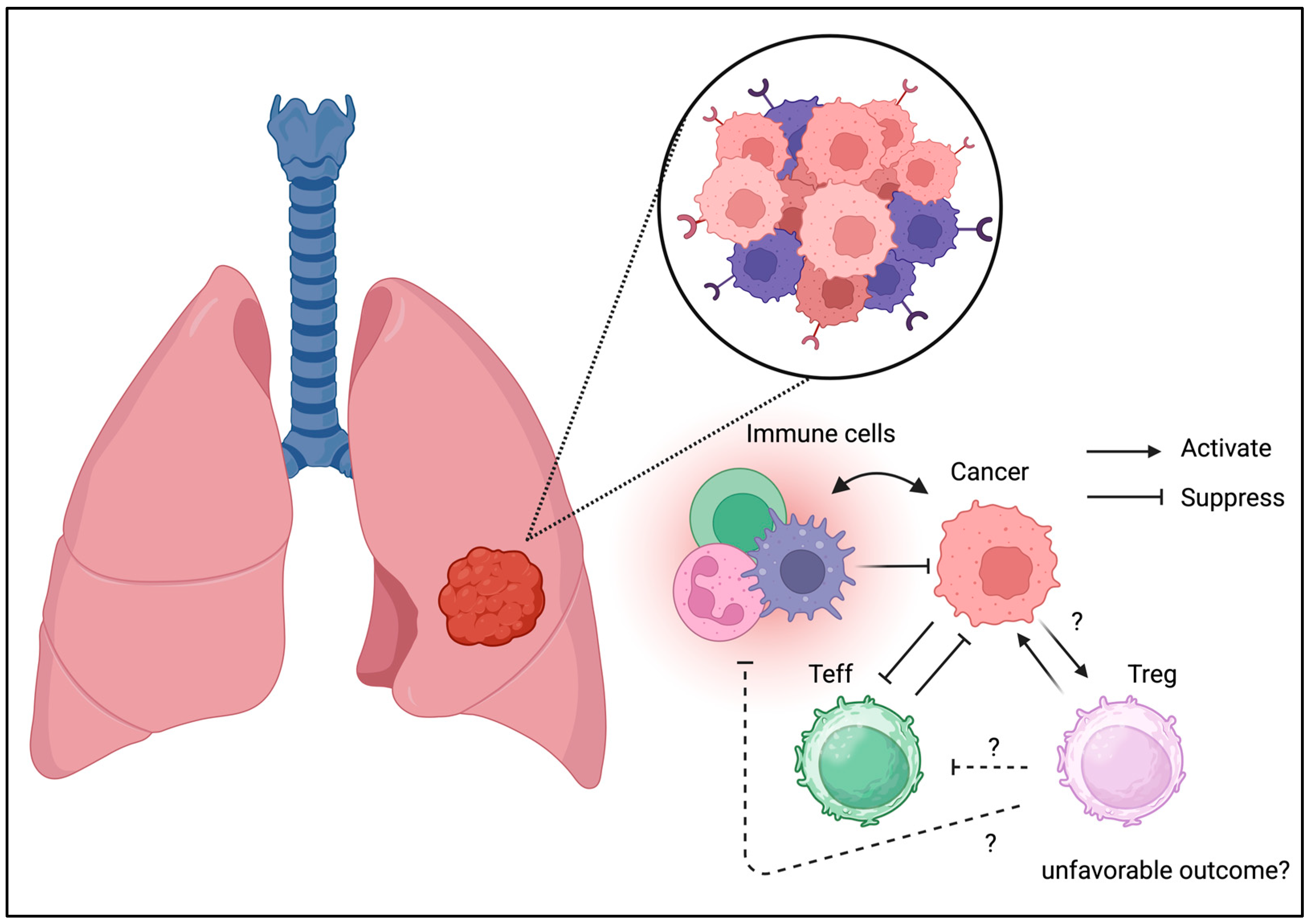 Biomedicines 13 01173 g004