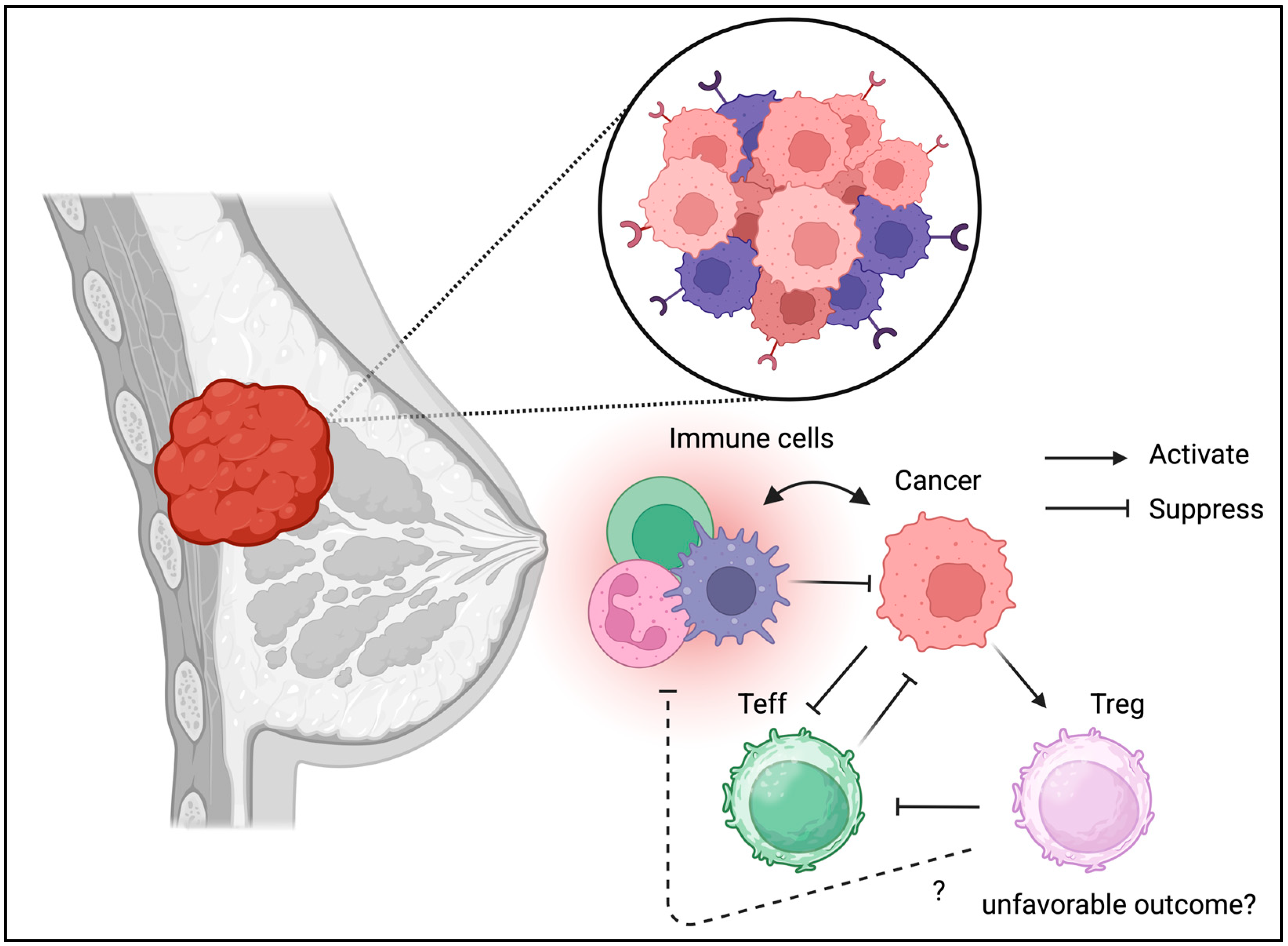 Biomedicines 13 01173 g005