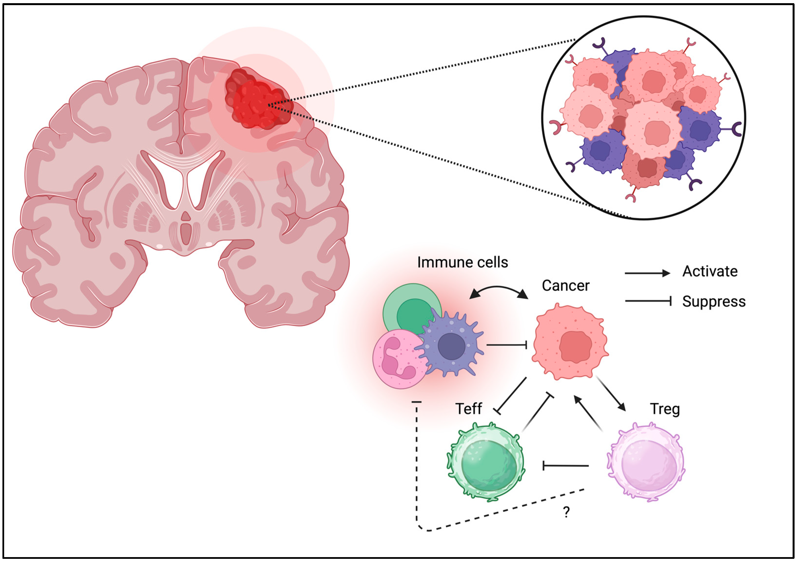 Biomedicines 13 01173 g007
