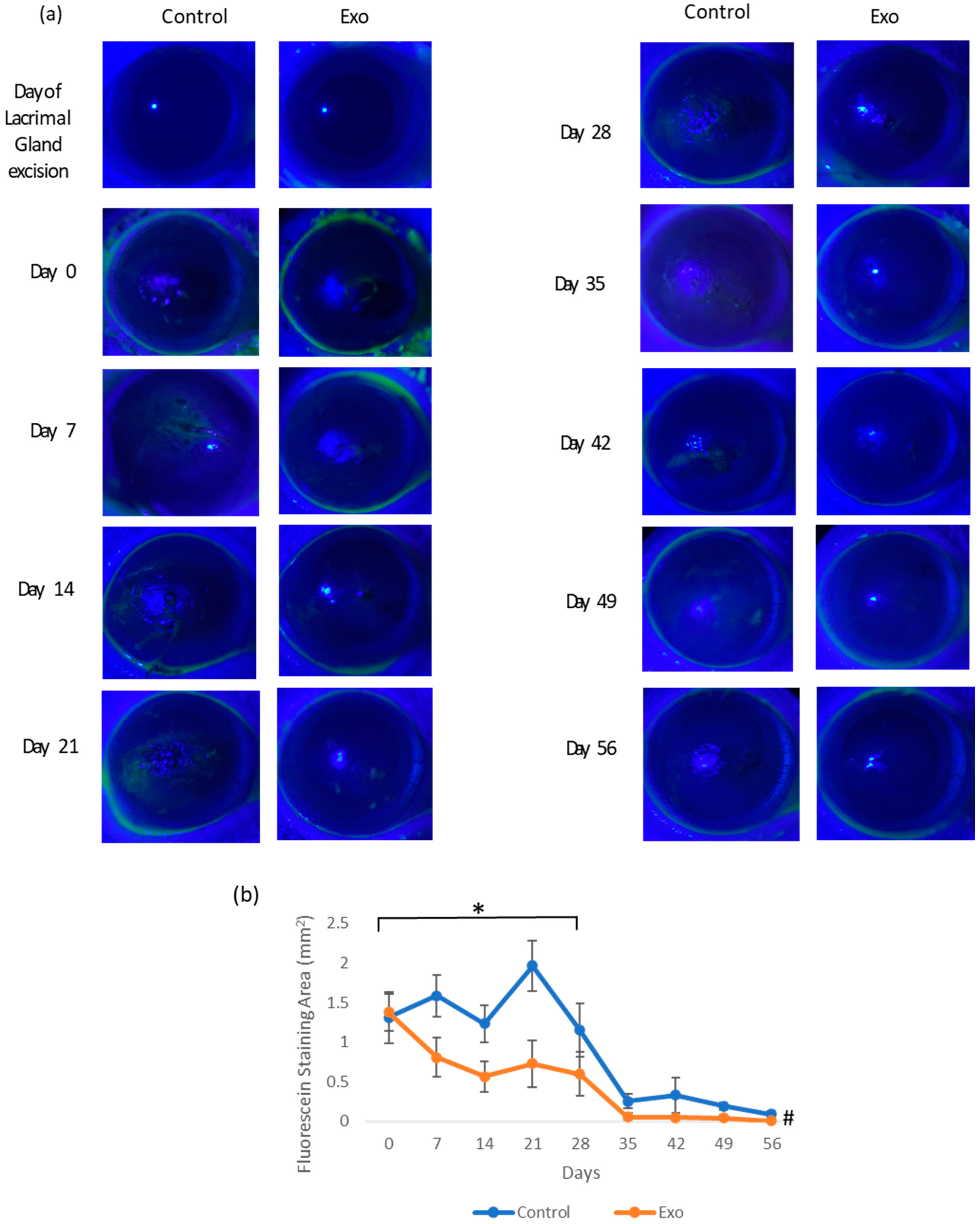 Biomedicines 13 01174 g003