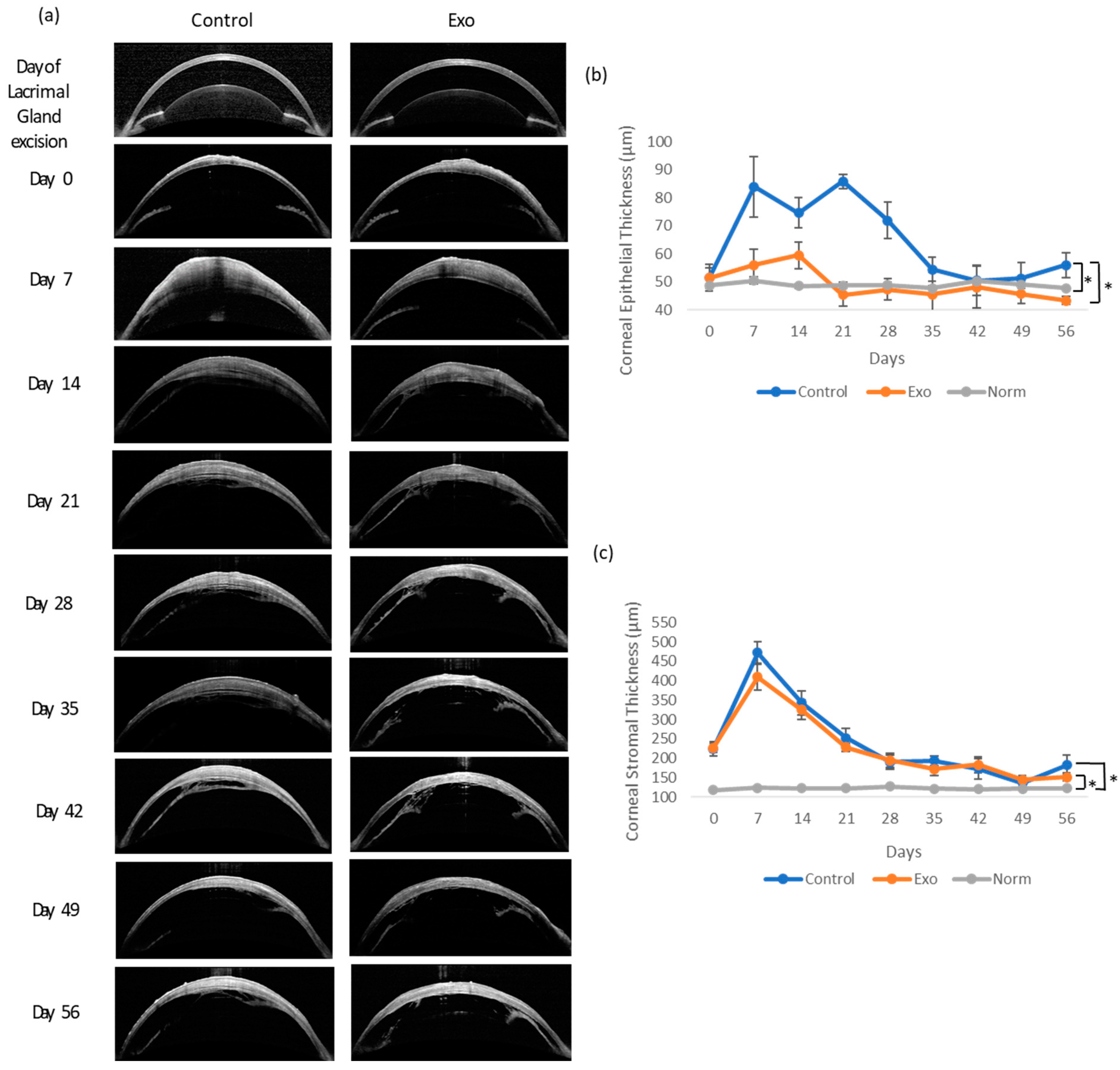 Biomedicines 13 01174 g004