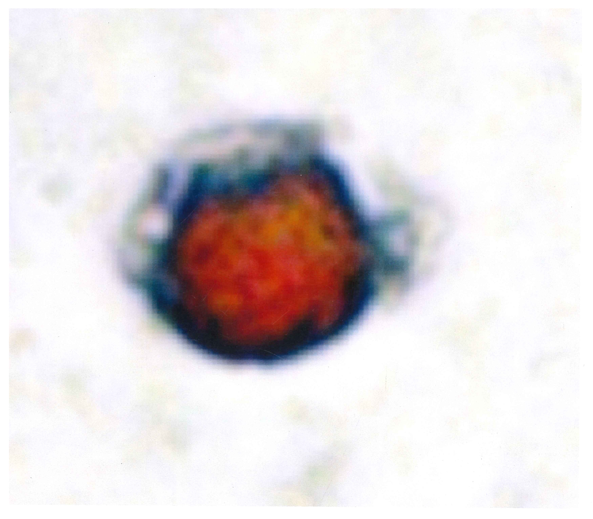 Biomedicines 13 01179 g004