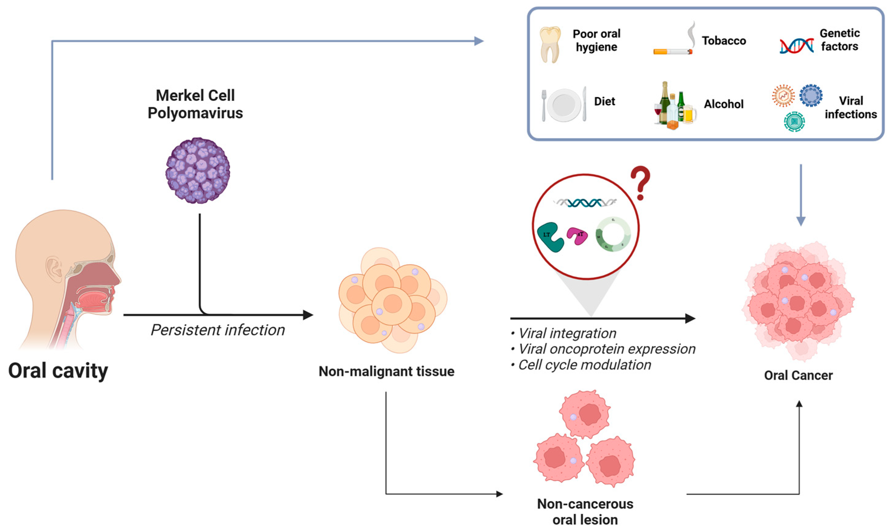 Biomedicines 13 01180 g001
