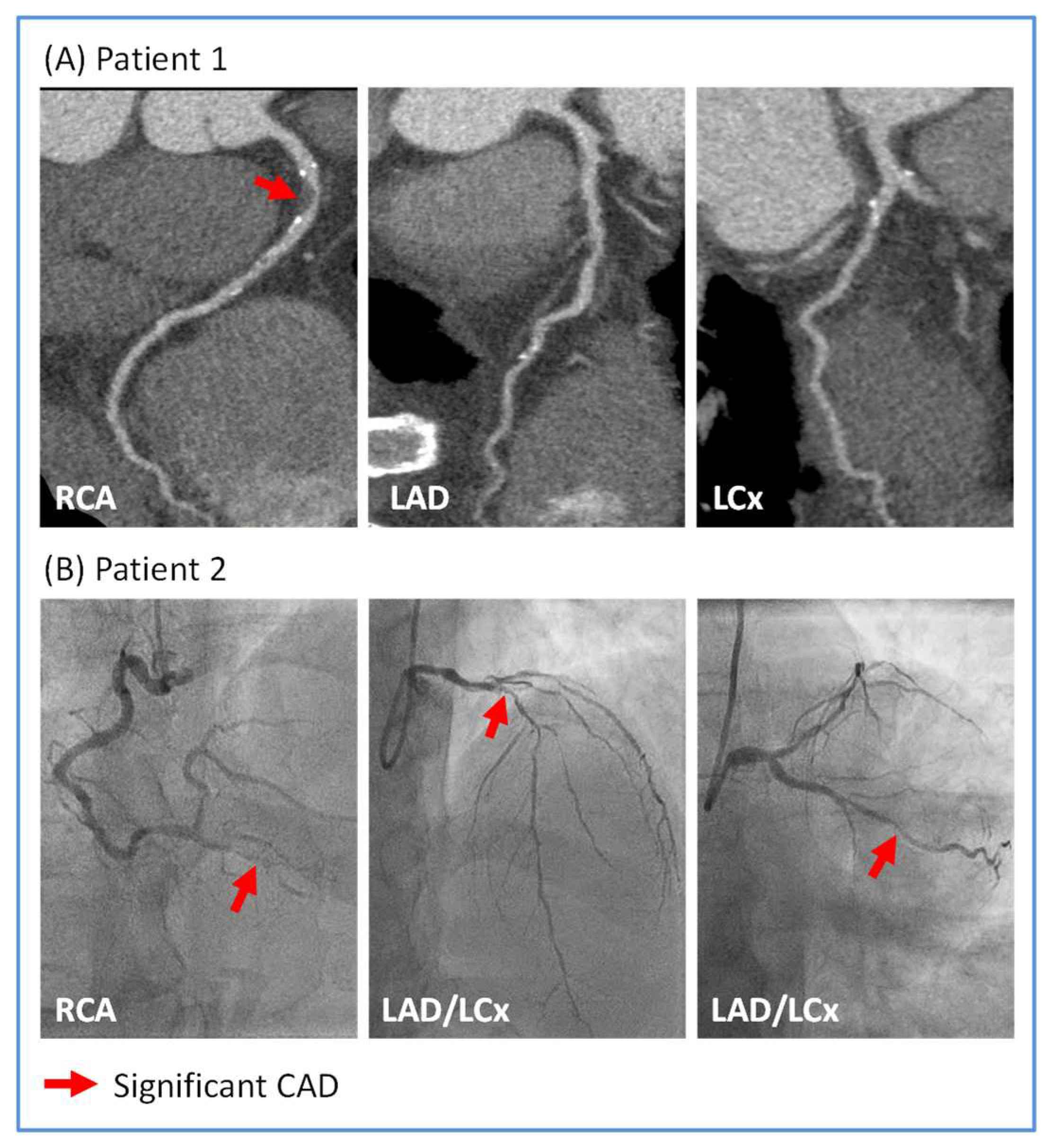 Biomedicines 13 01181 g001