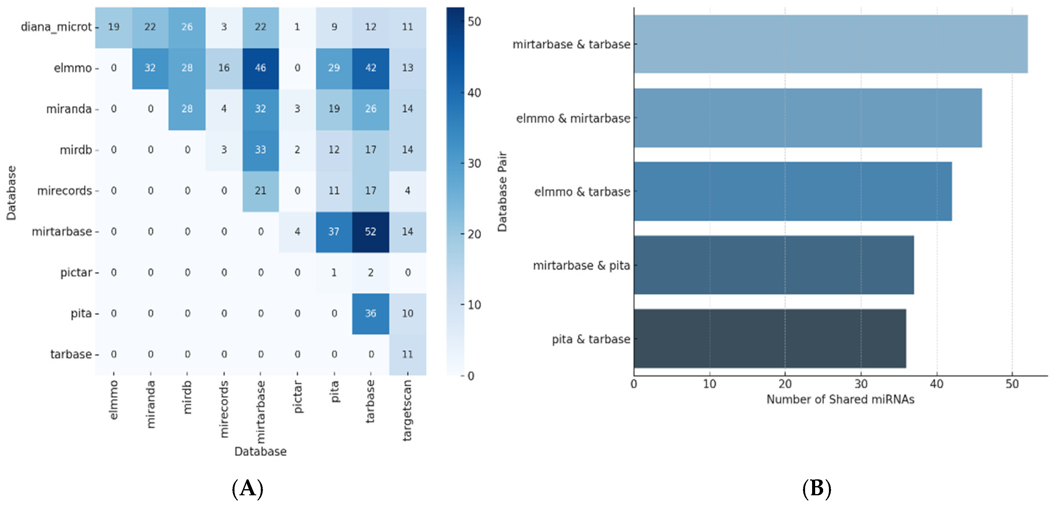 Biomedicines 13 01192 g001